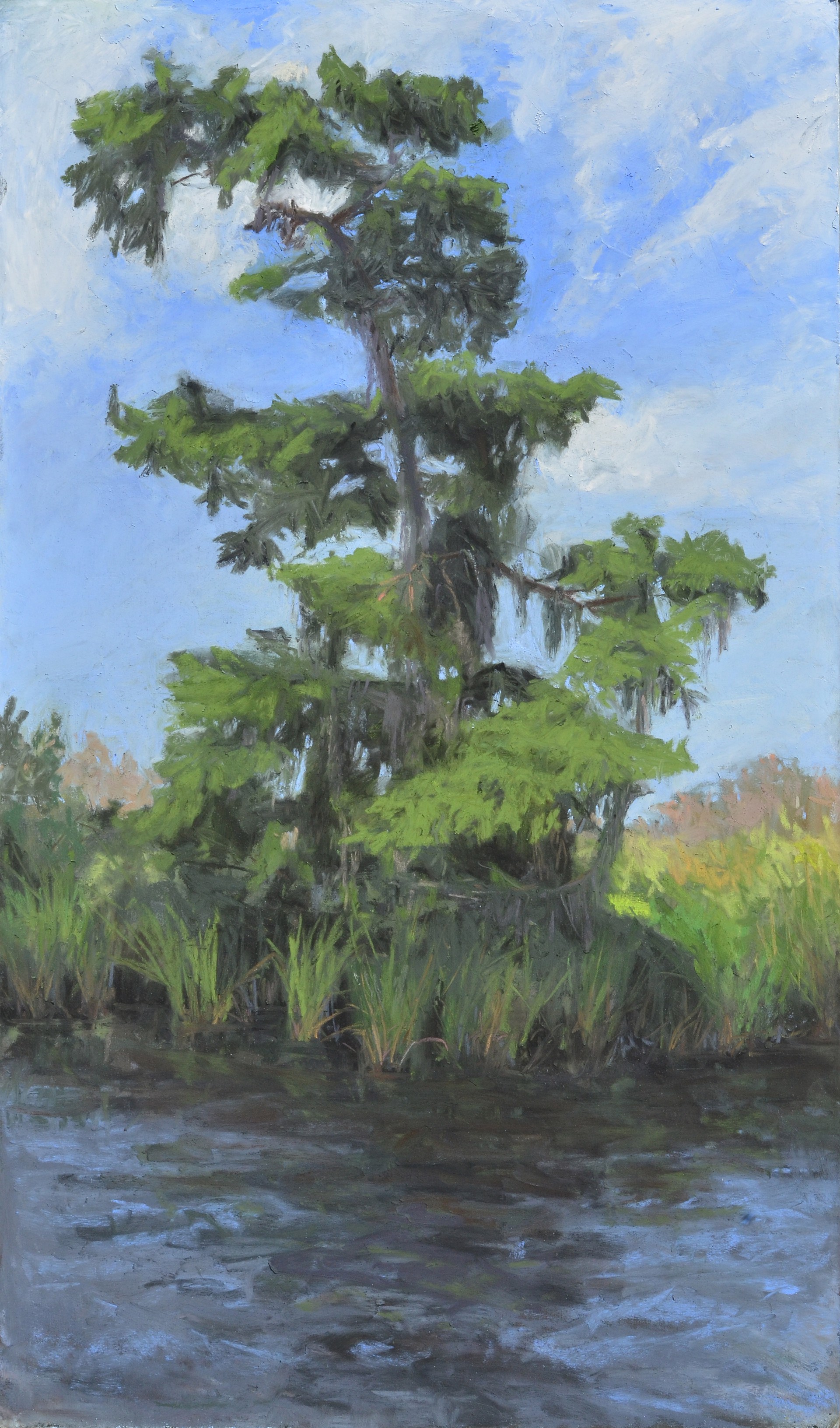 Afternoon Marsh Tree by Mary Monk