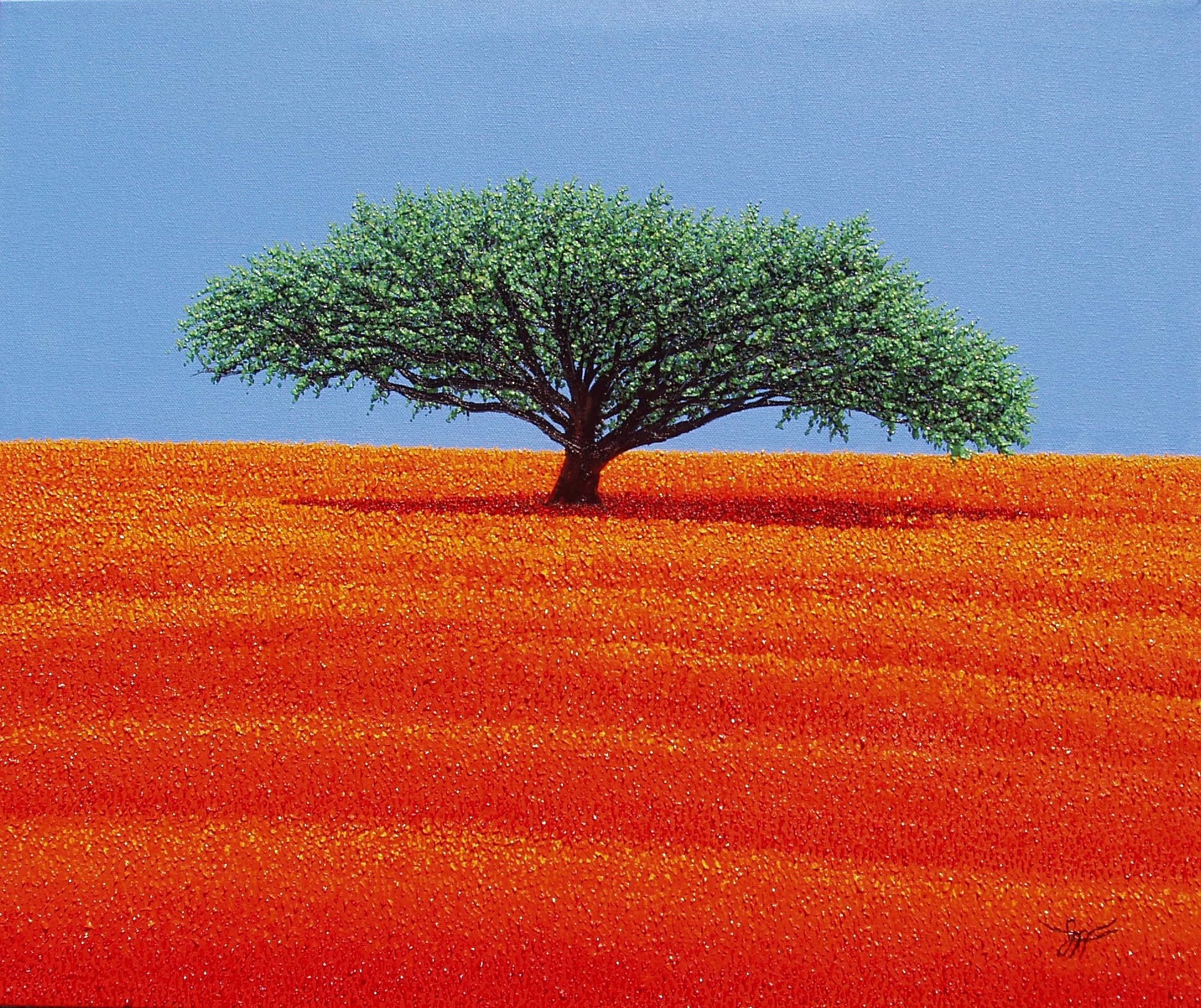 Orange Surmise by Jay Maggio