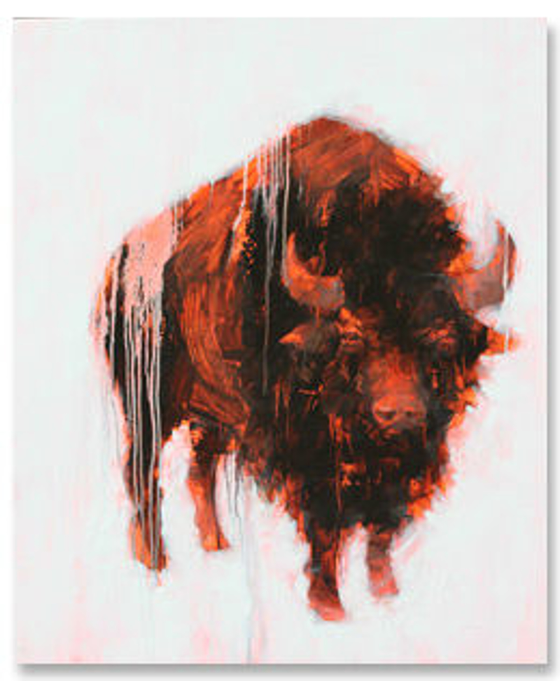 Bison 4 by Angie Renfro