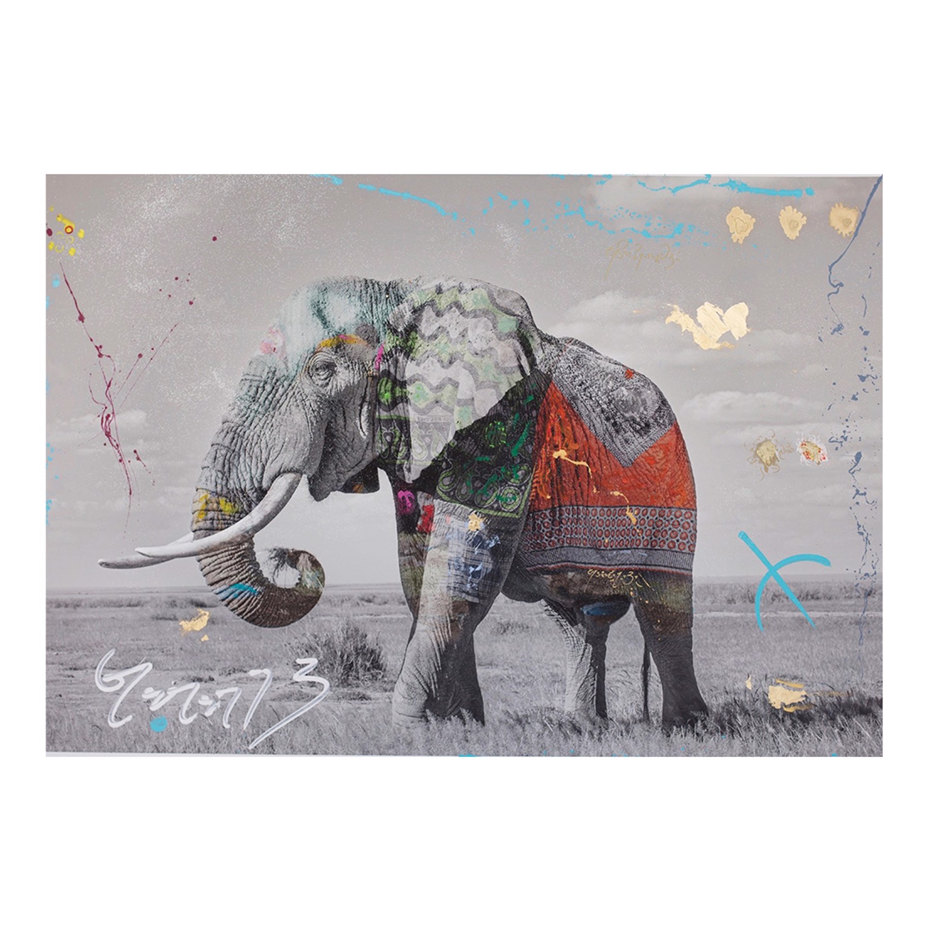 Elephants, Jumbo 3 by Arno Elias