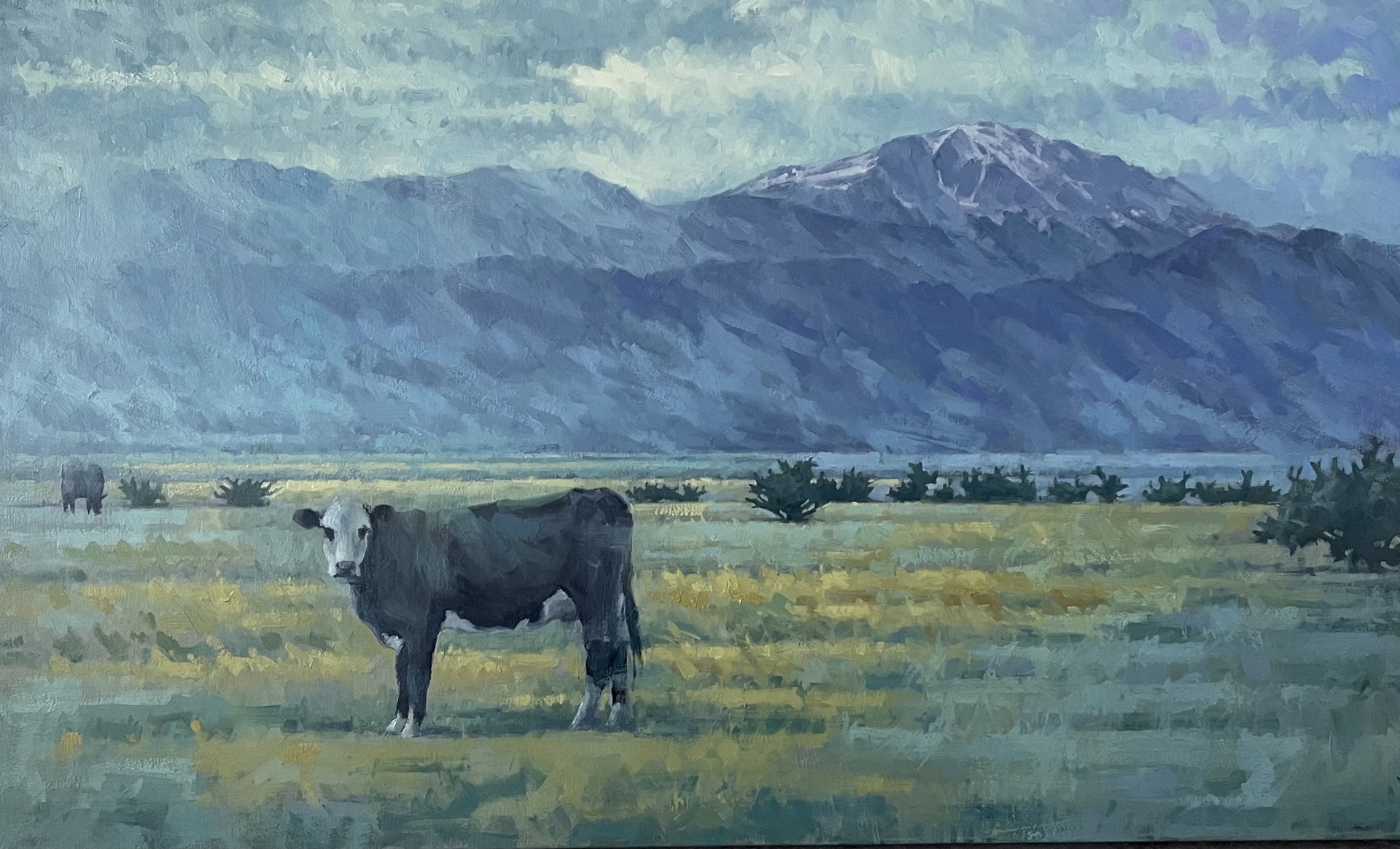 Pike Peak from the Plains by Terry Gardner