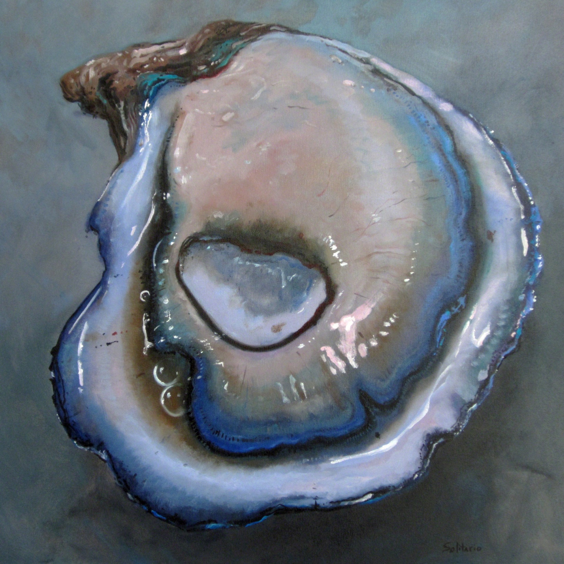Oyster by Billy Solitario
