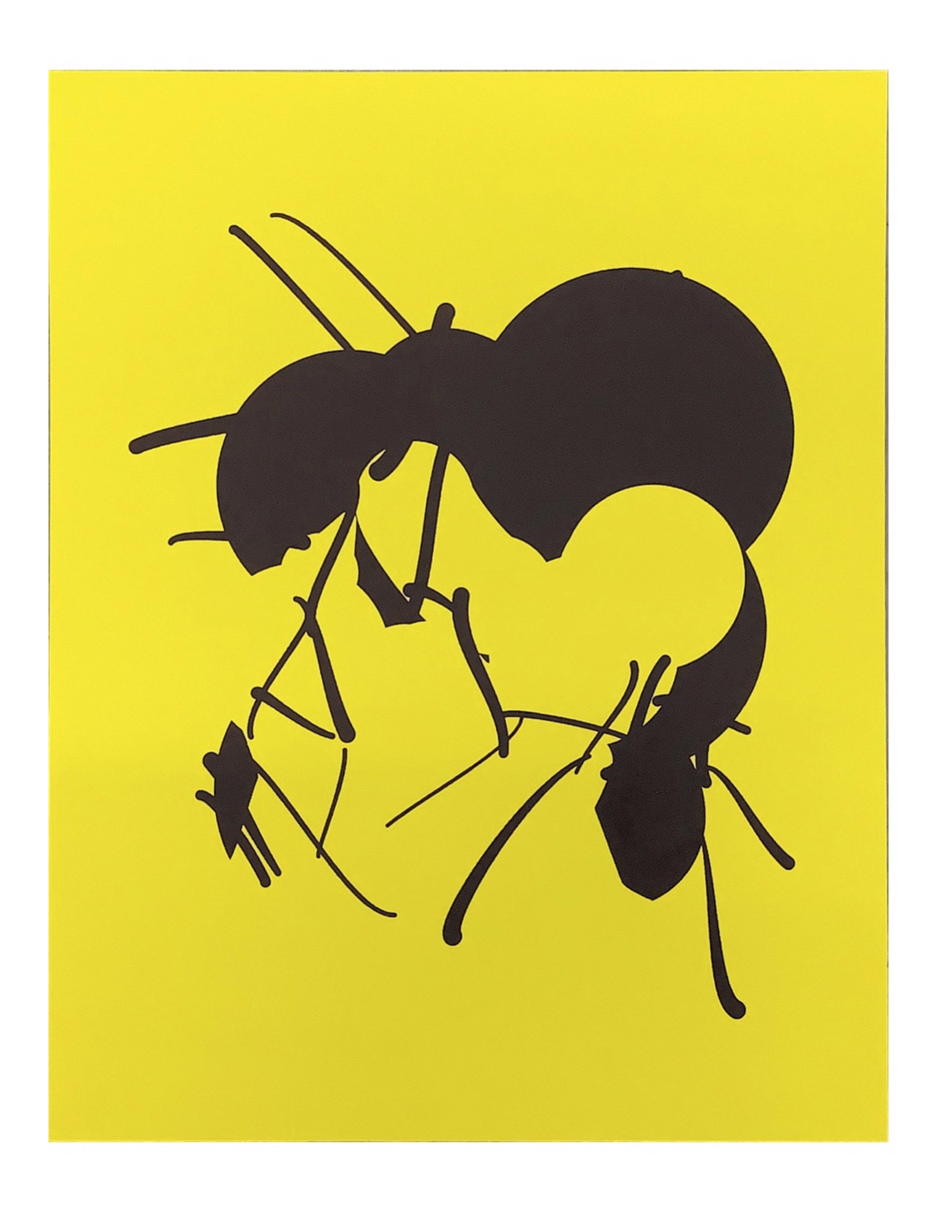 Ant Prints by Tom White