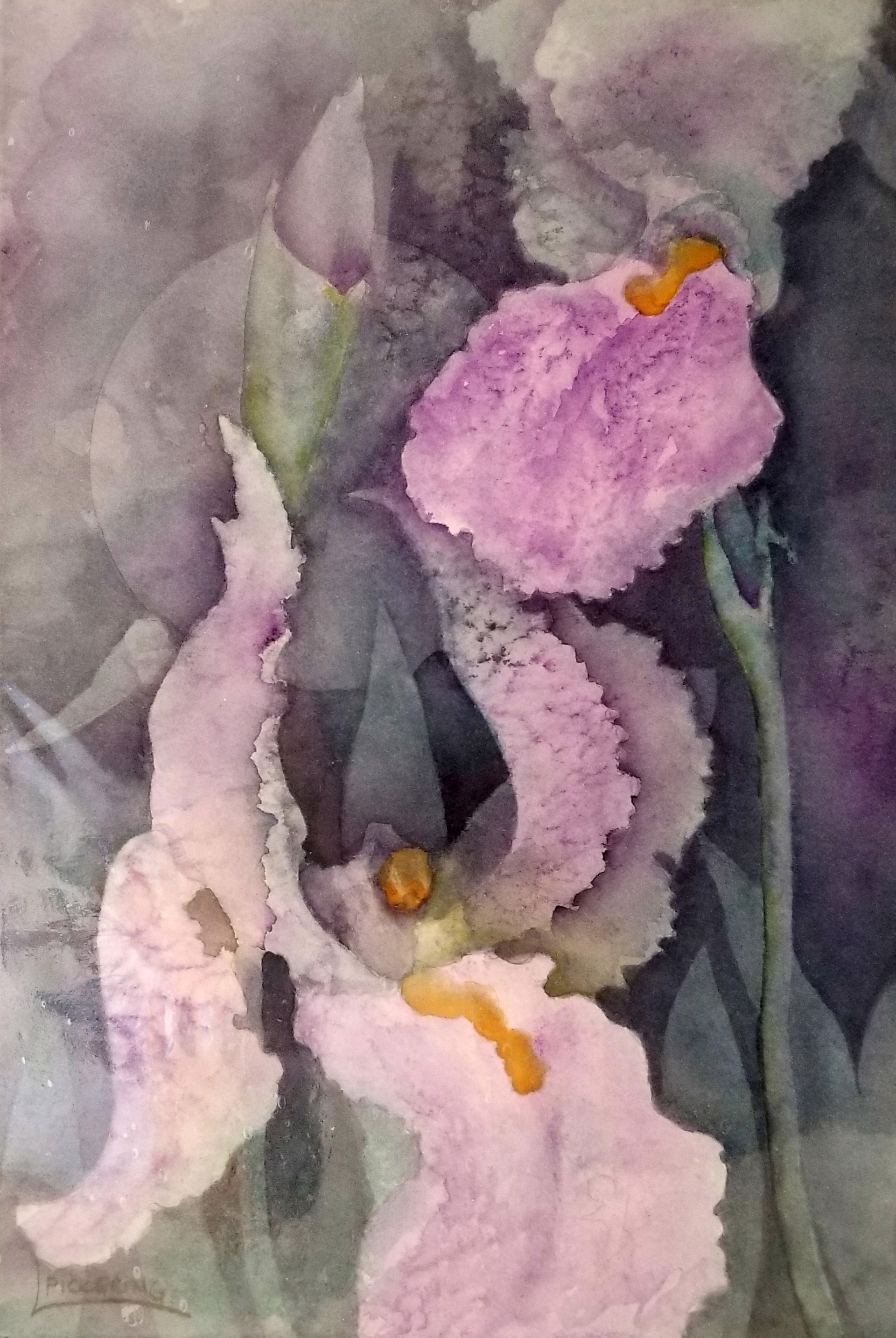 Purple Iris Moon by Laura Pickering