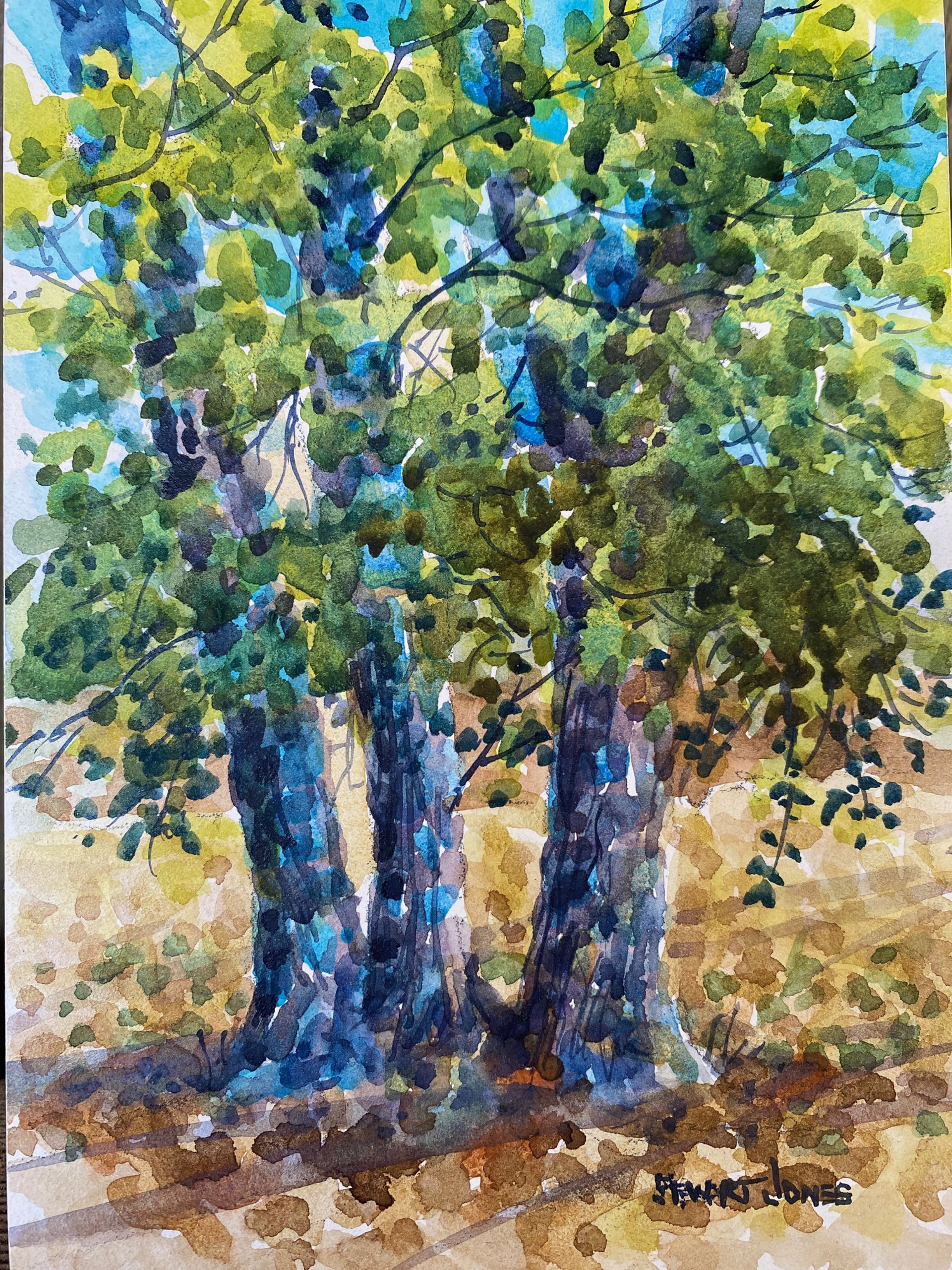 Tree Amigos by Stewart Jones