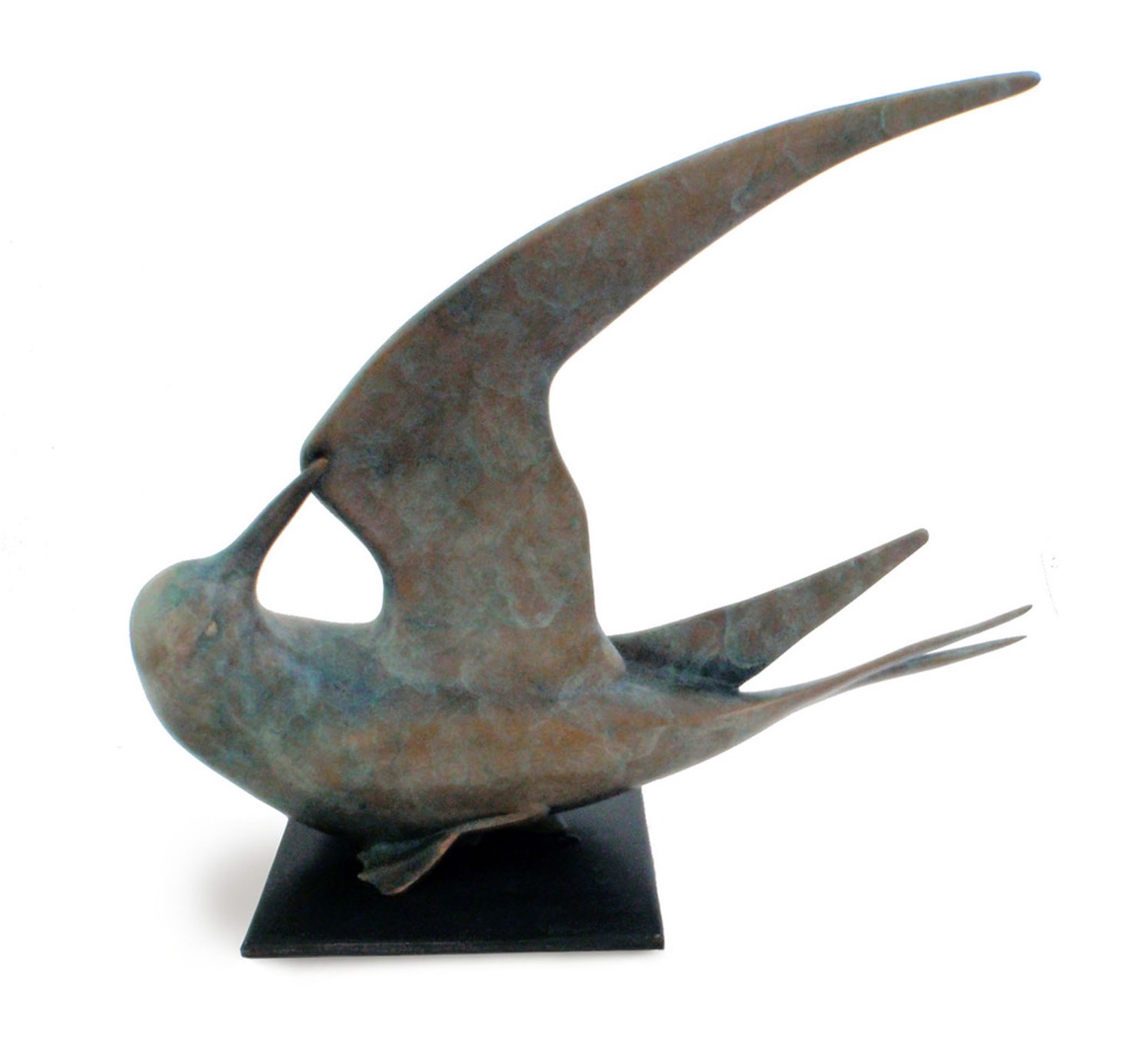 Limited Edition Bronze Sculpture Of A Tern Preening Its Wing With A Contemporary Blue Patina, By Kristine Taylor