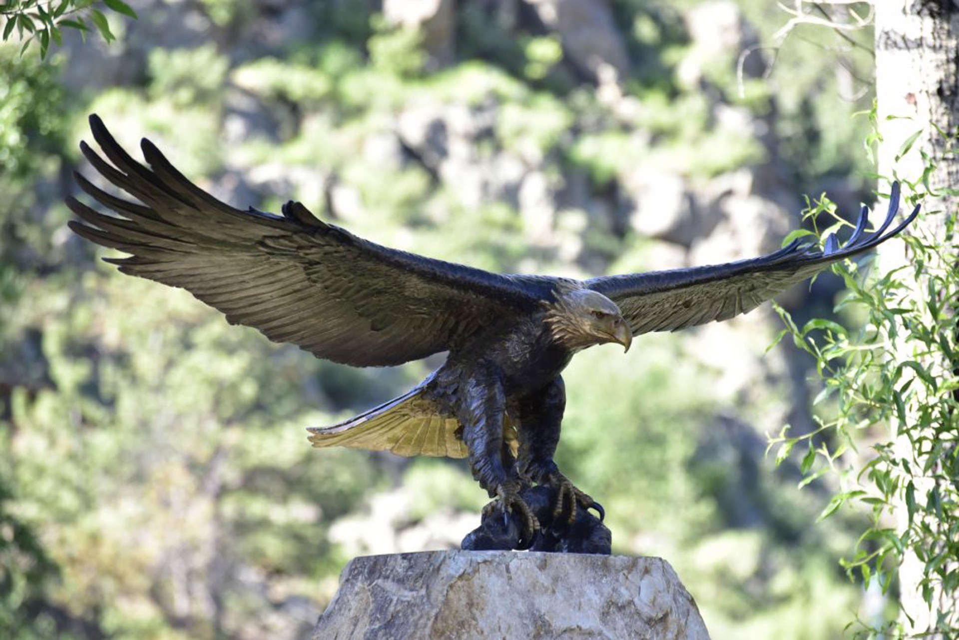 American Treasure  Bald Eagle Life Size by Daniel Glanz (sculptor)