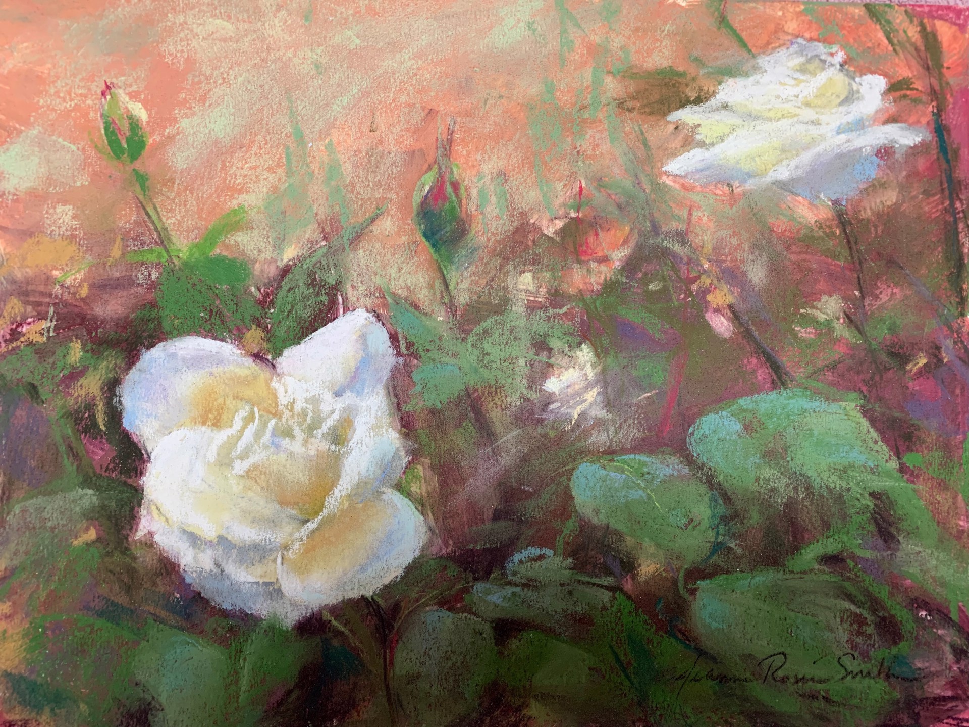 Garden Roses, Ravello by Jeanne Rosier Smith