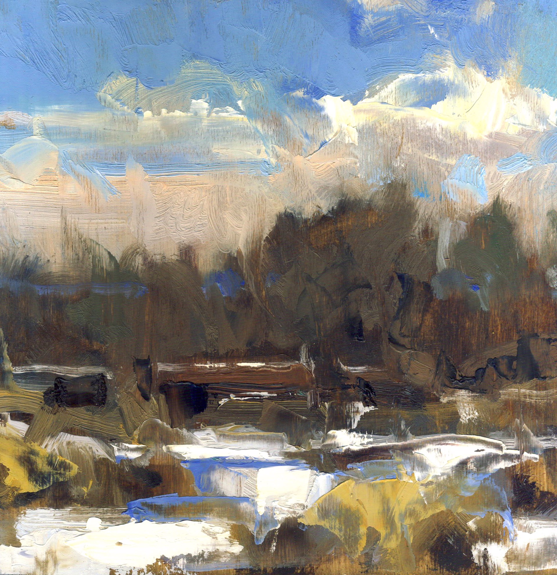 Winter Meadow by Bill Gallen