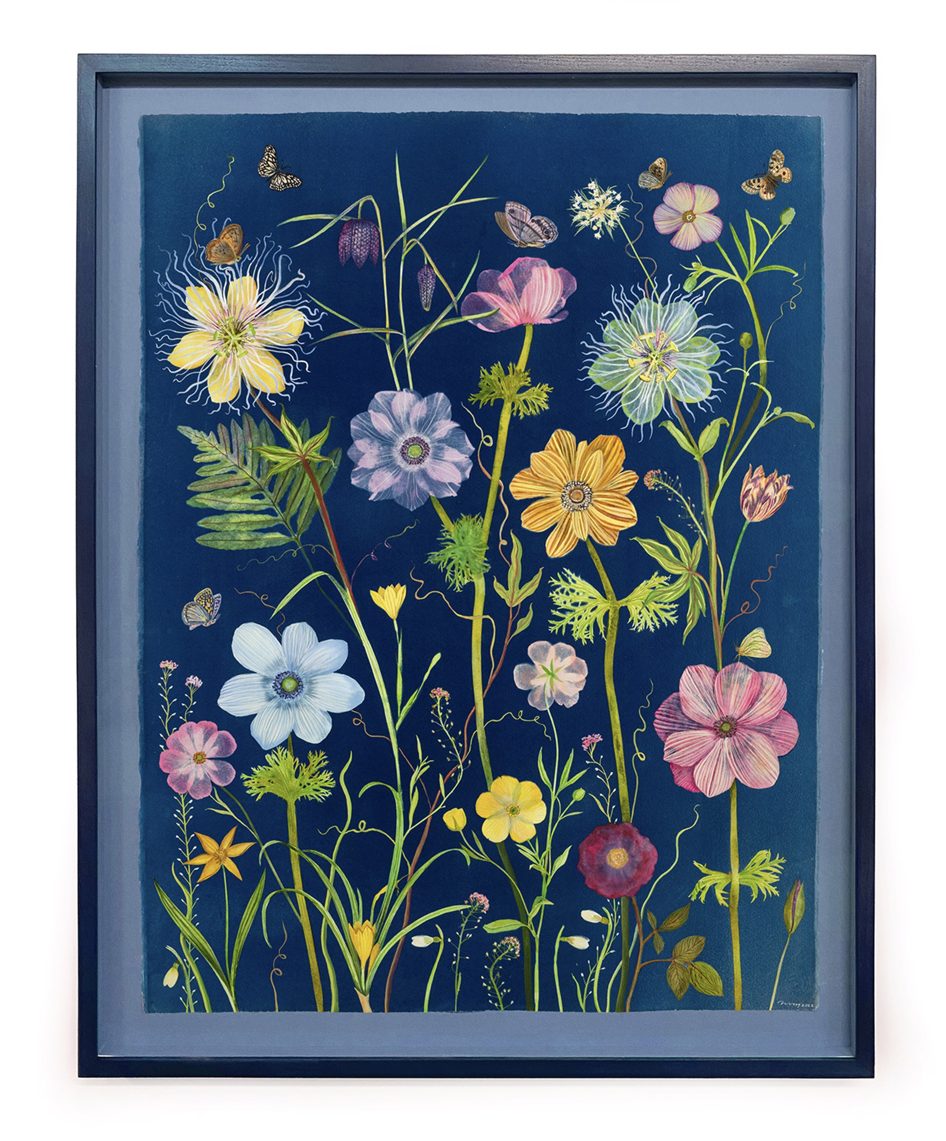Nocturnal Nature (Anemone, Passionflower, Buttercup, Ferns, Pollinators, etc.) by Julia Whitney Barnes