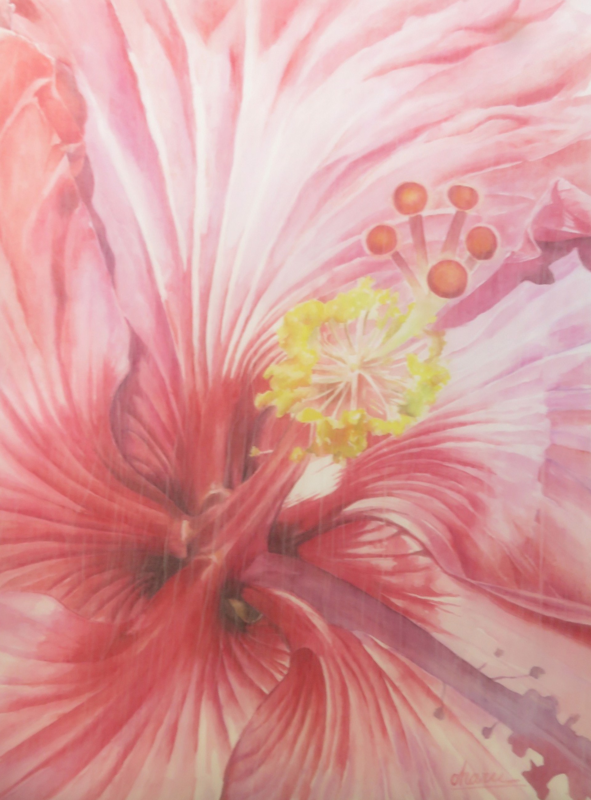 Hibiscus by Harumi Fujimoto -OharuArt