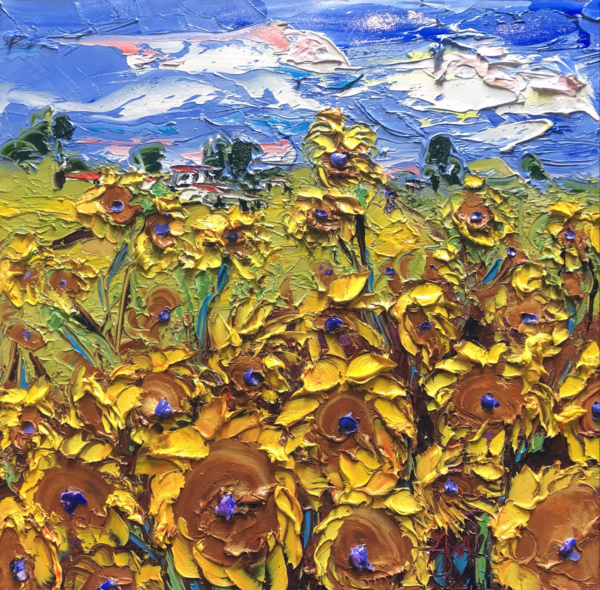 Sunflower Fields LIVE by JD Miller