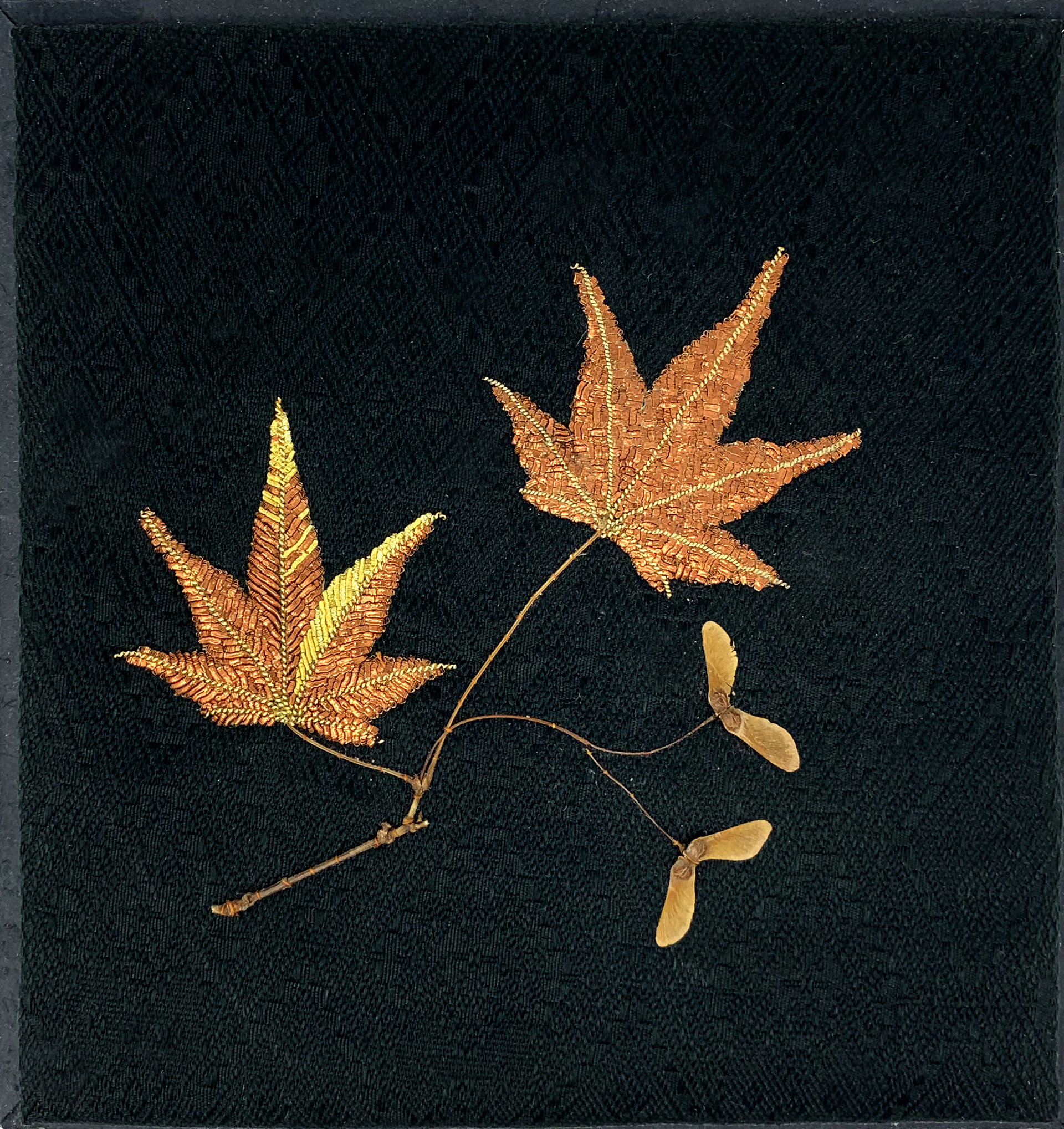 Nagoya Maple Leaves and Seedlings by Tiao Nithakhong Somsanith