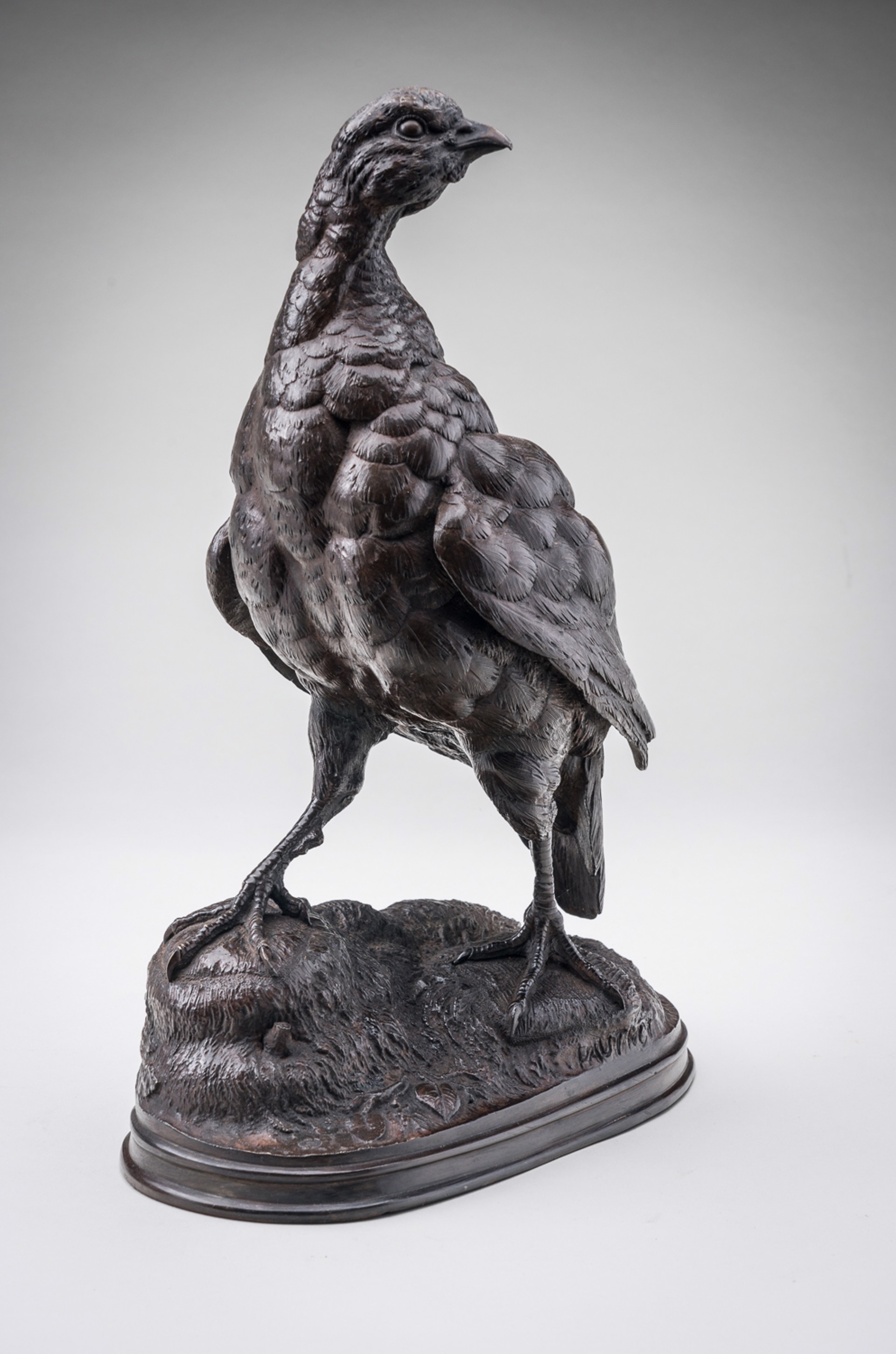 PARTRIDGE by Ferdinand Pautrot