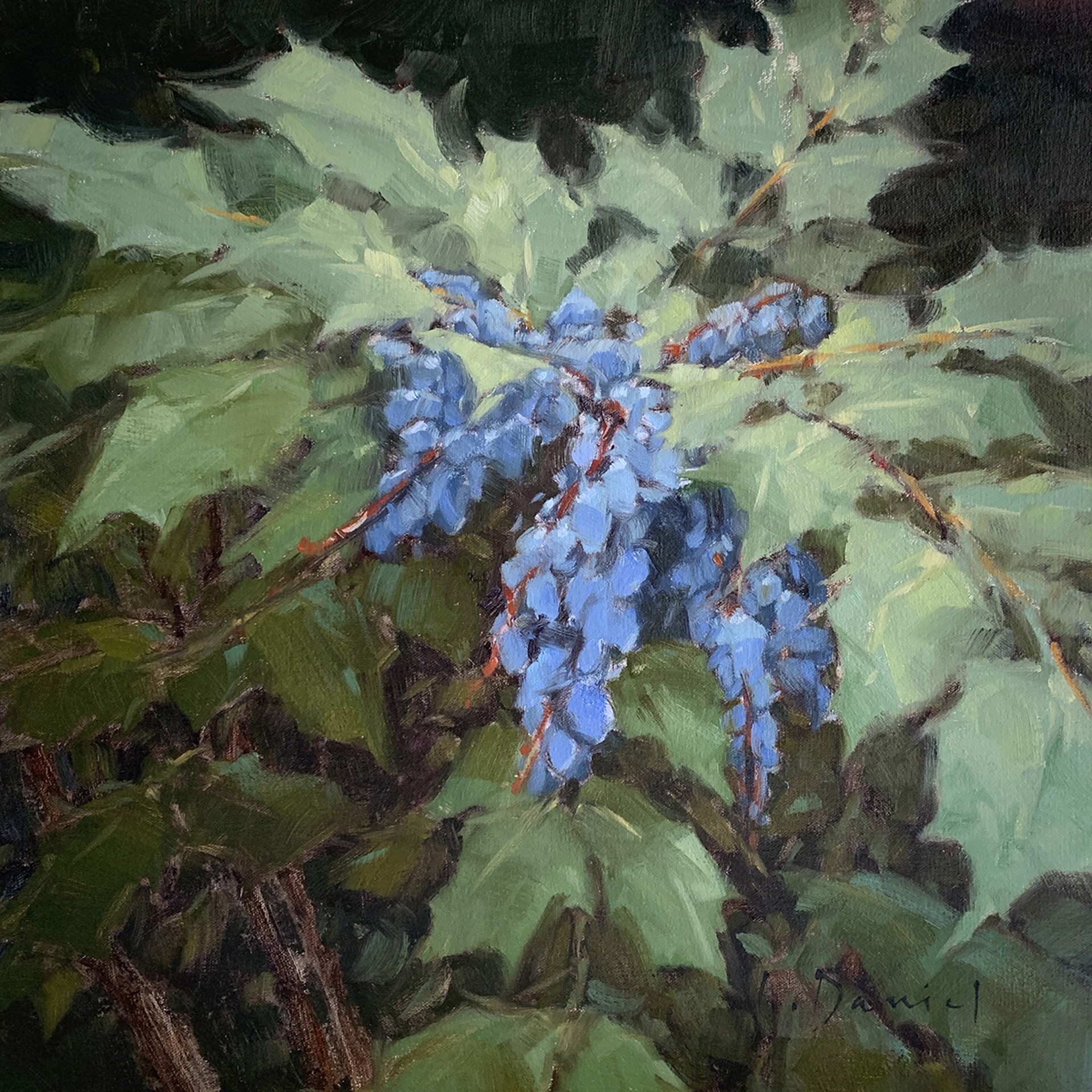 Dusty Berries by Laurel Daniel