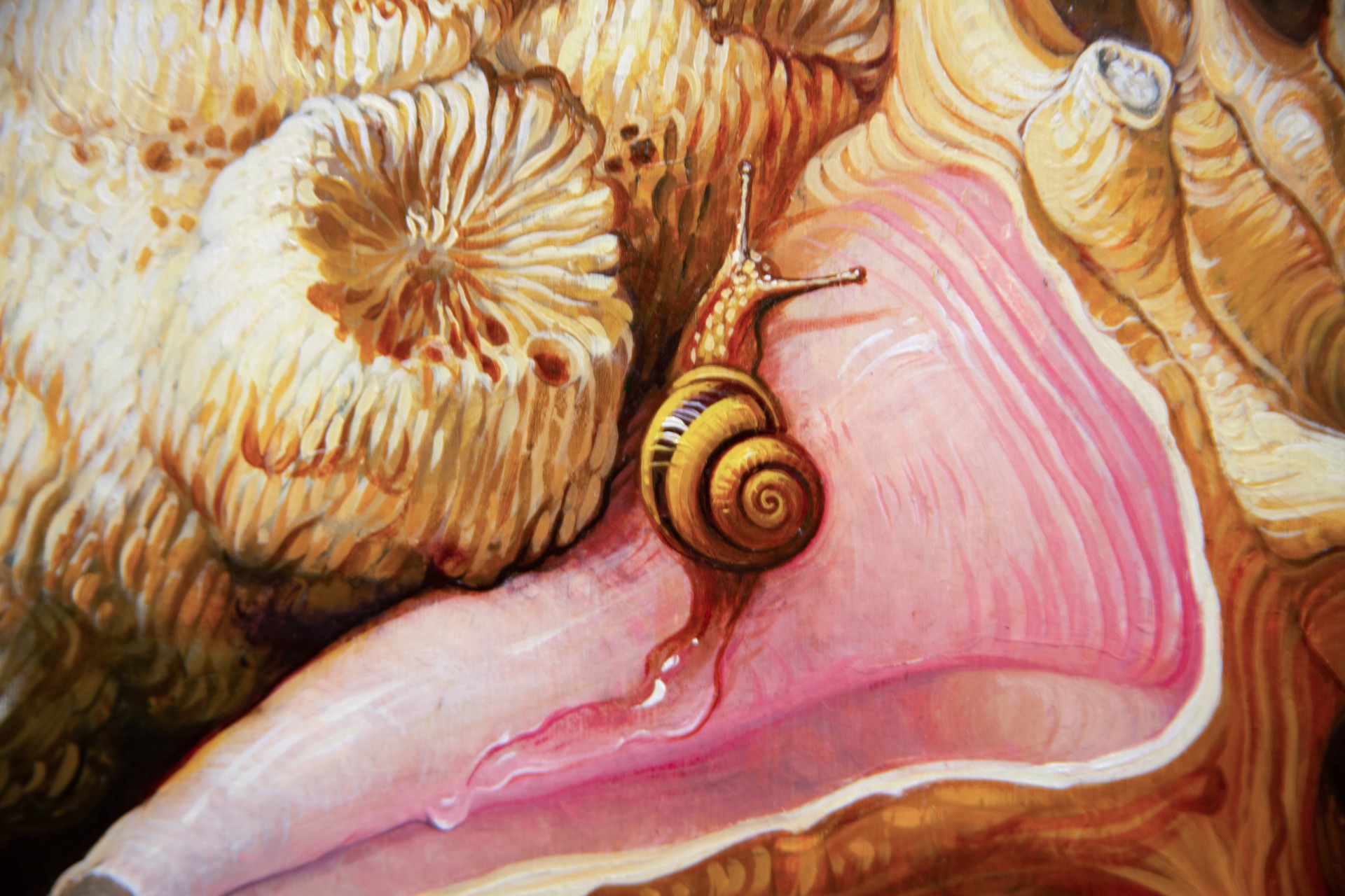Sea Shells by Yana Movchan