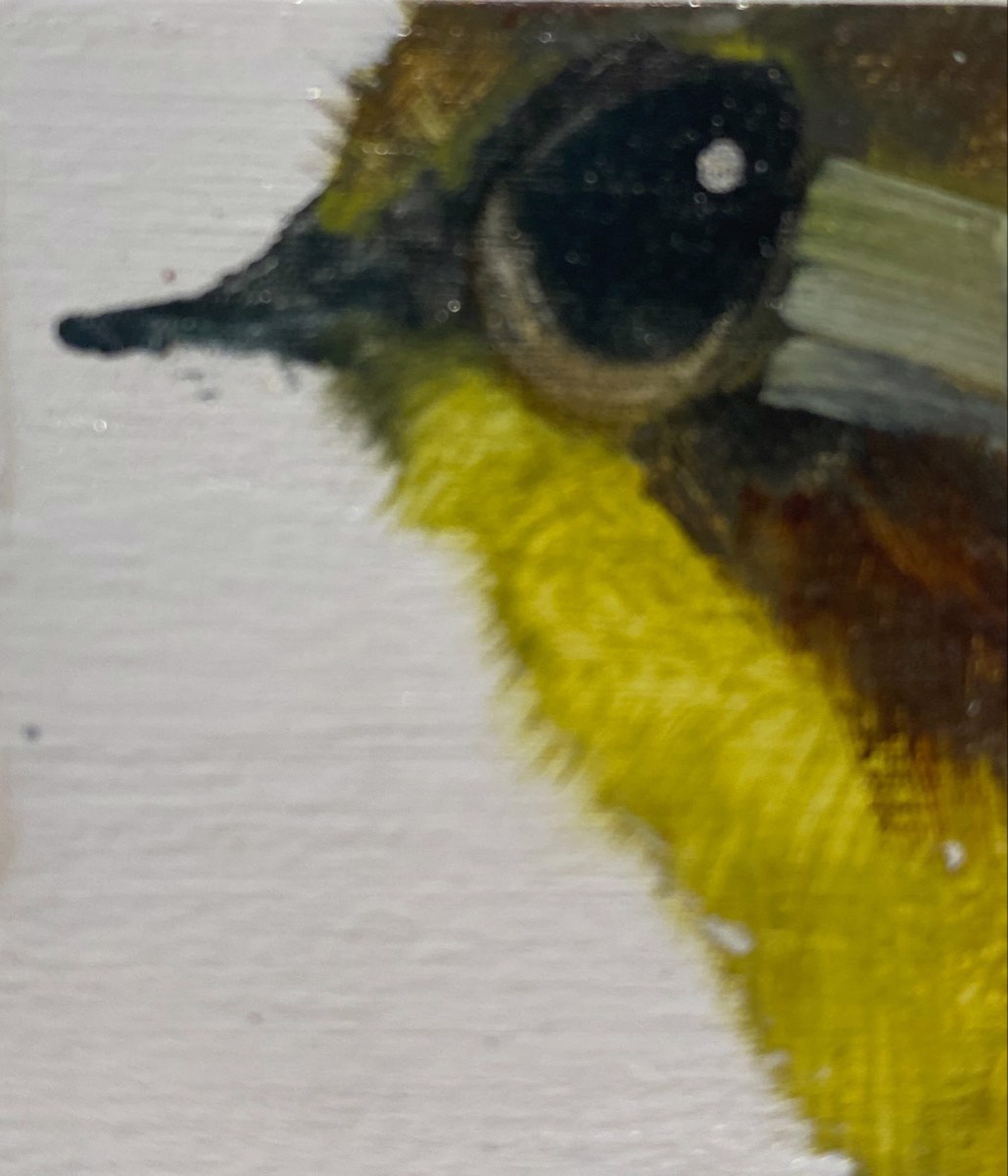 Tiny Bird Block (yellow belly) by Diane Kilgore Condon