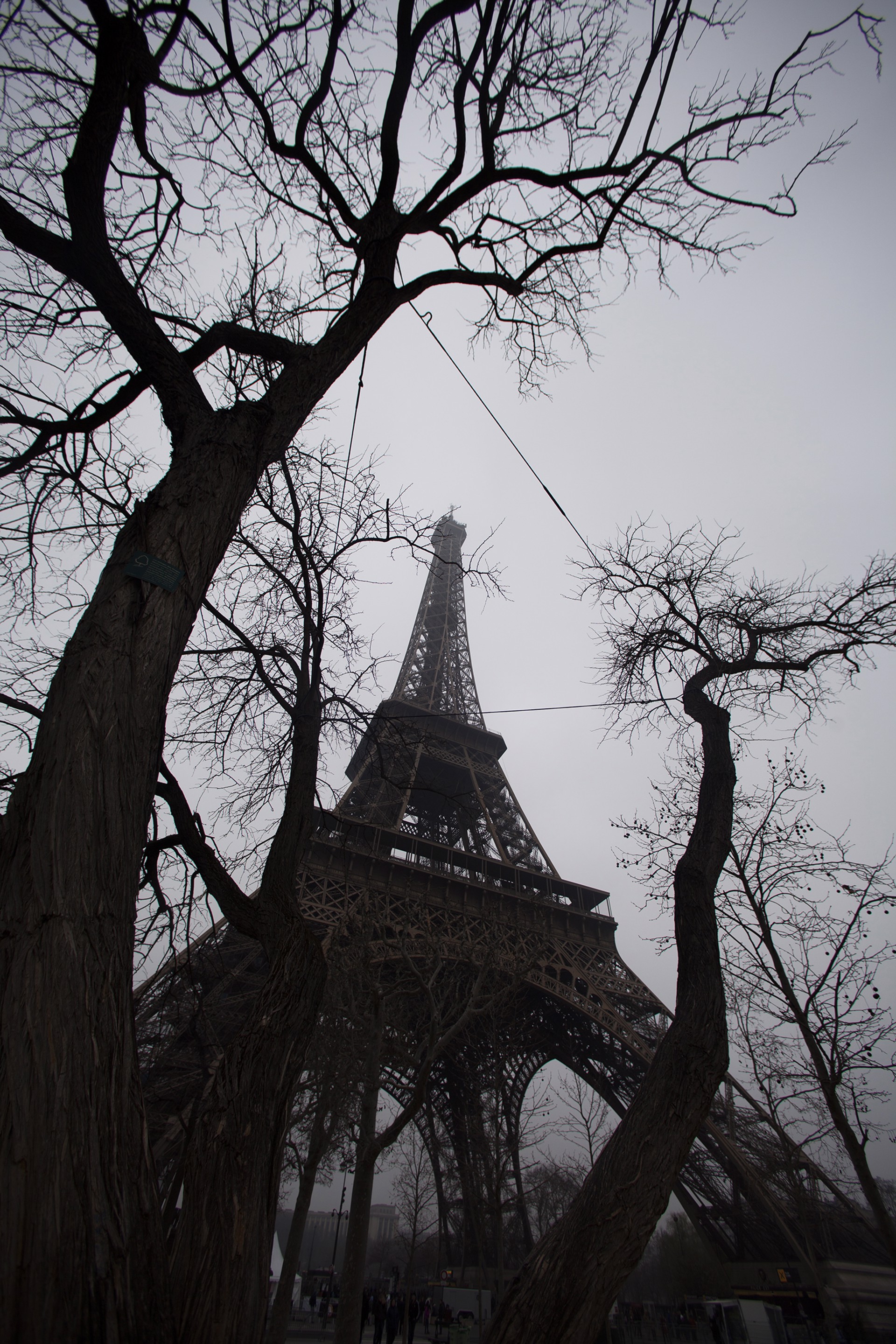 Paris by Hsu-Jen Huang