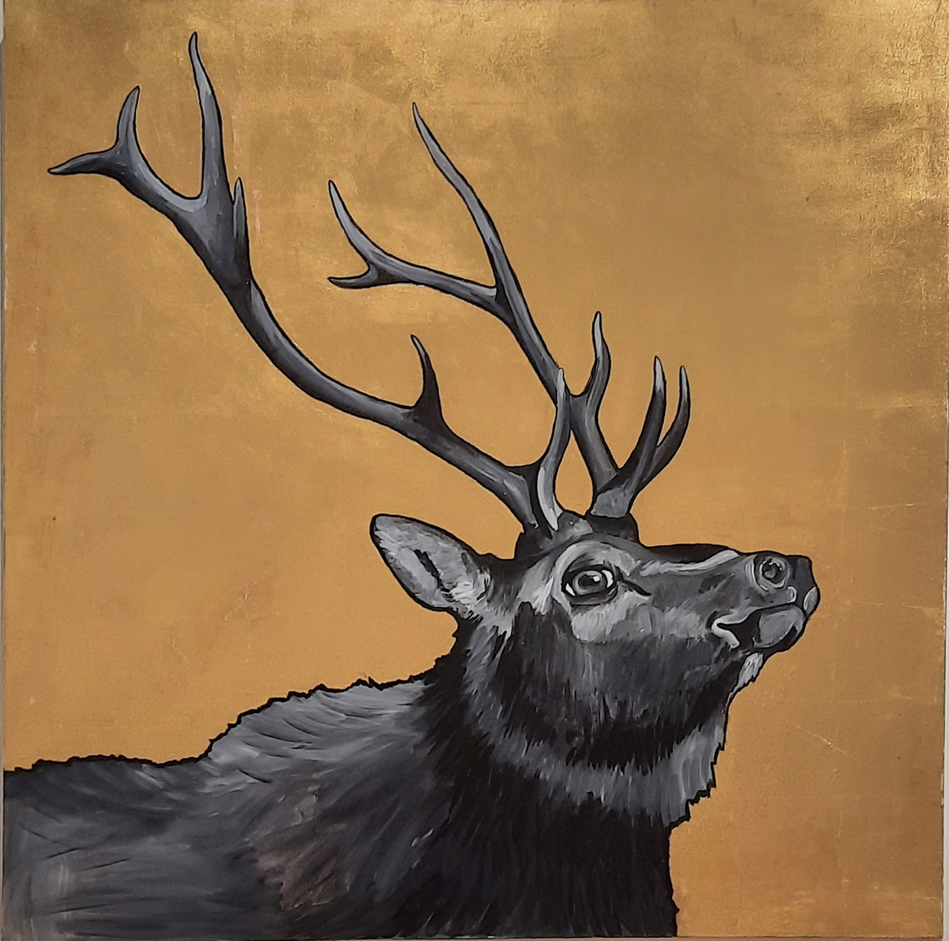 Elk by Sullivan Anlyan