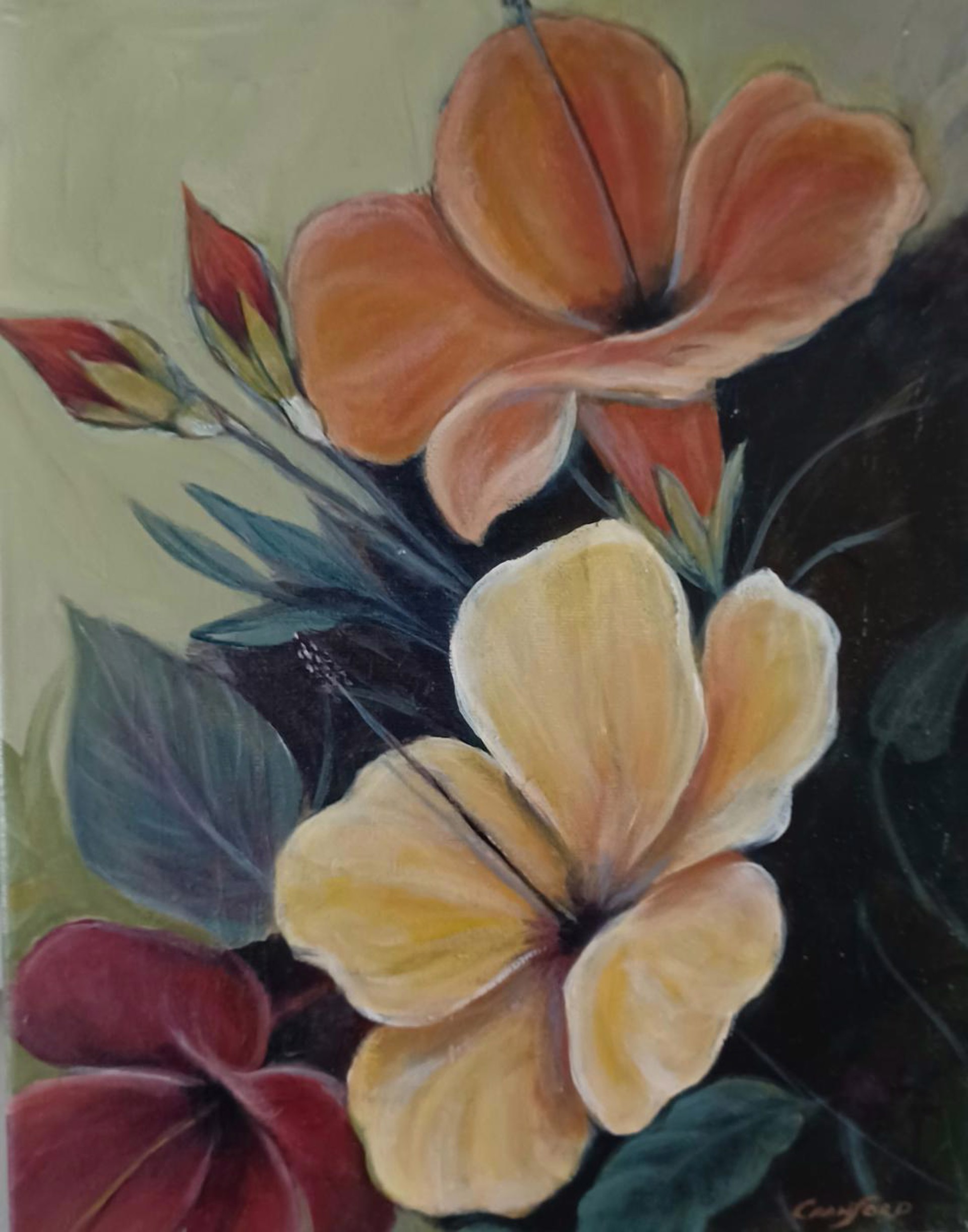 Hibiscus by Catherine Cranford
