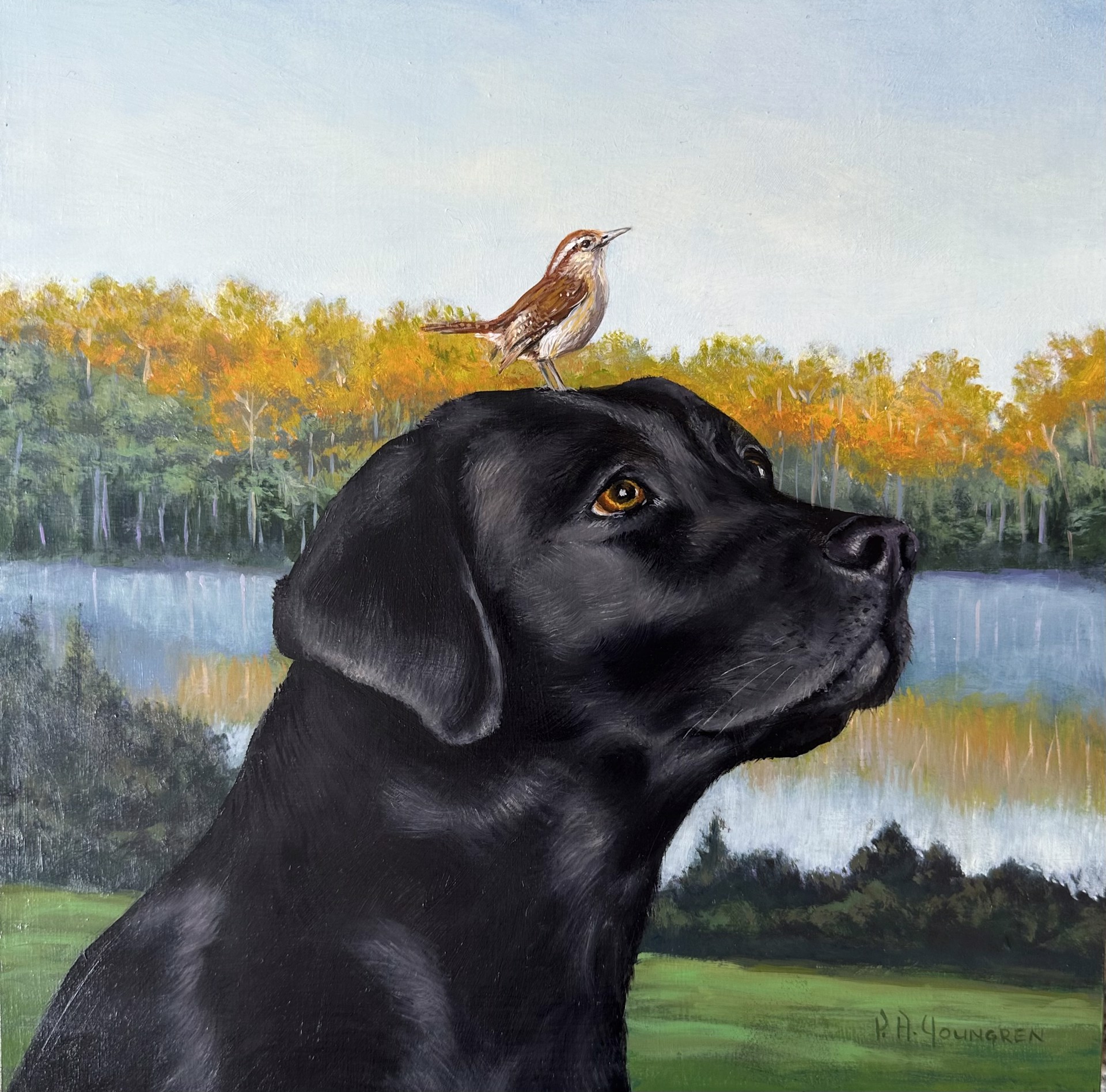 Bird Dog by P.A. Youngren