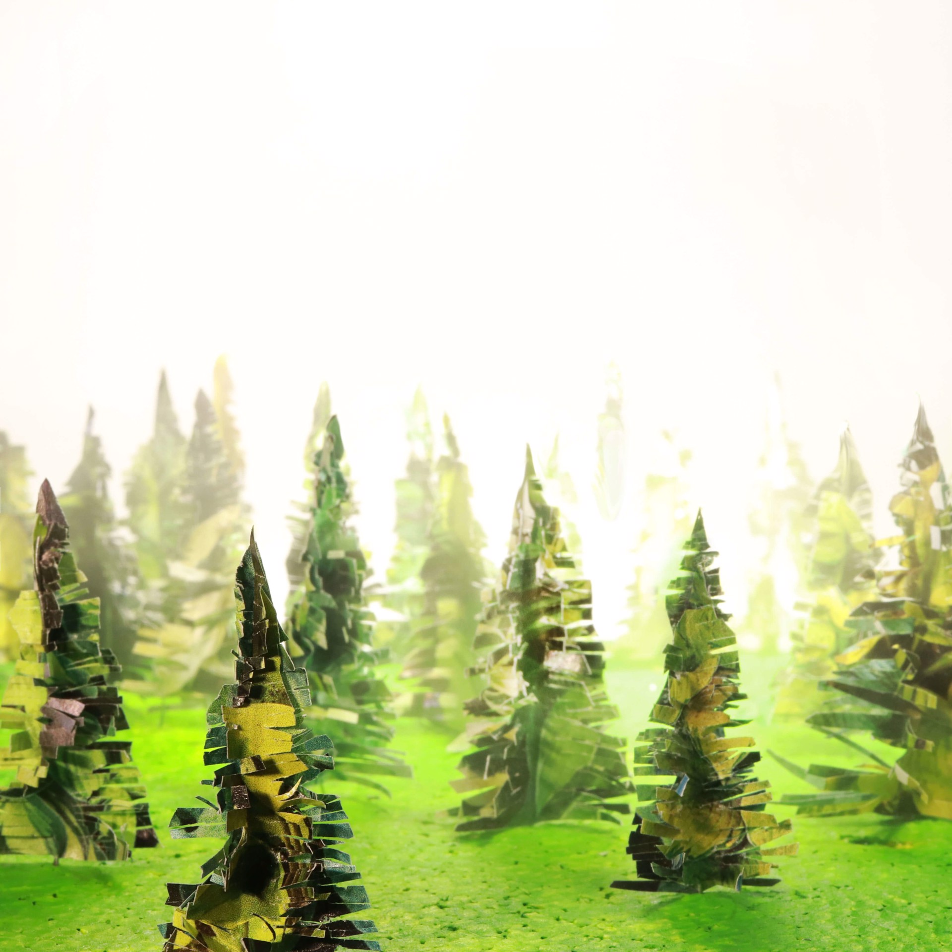 Misty Forest by Stephen Dorsett