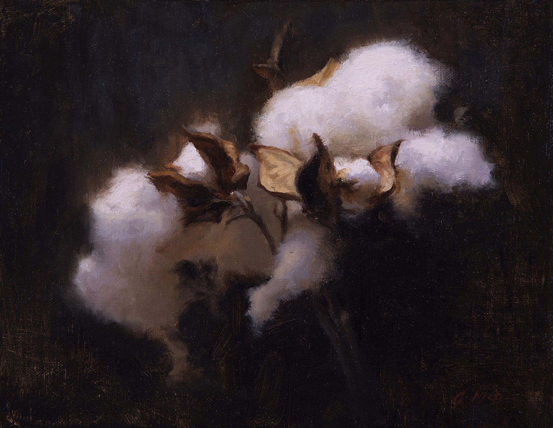 Cotton I by Grace DeVito