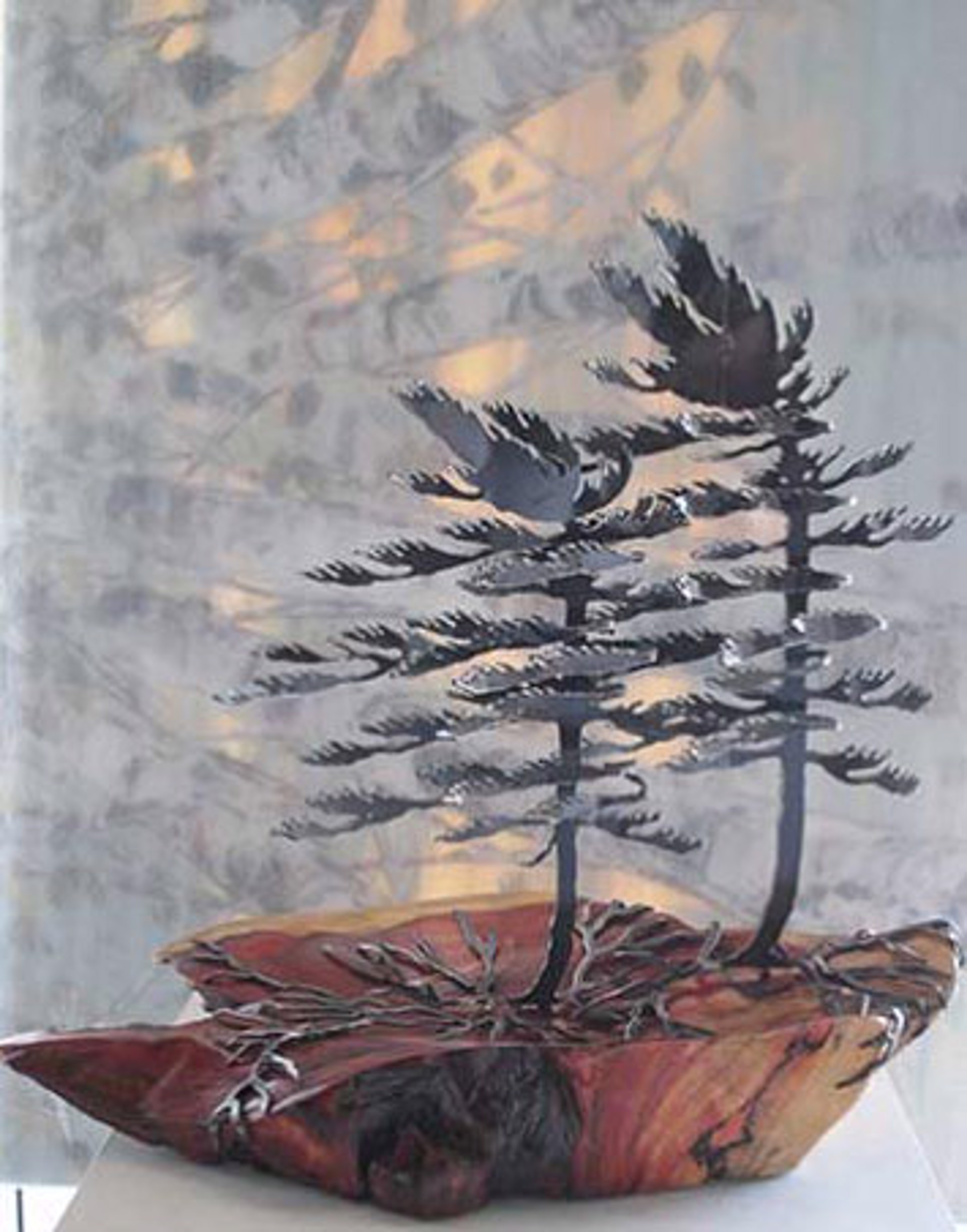 Two Windswept Pine on Manitoba Maple 189978  6547 by Cathy Mark