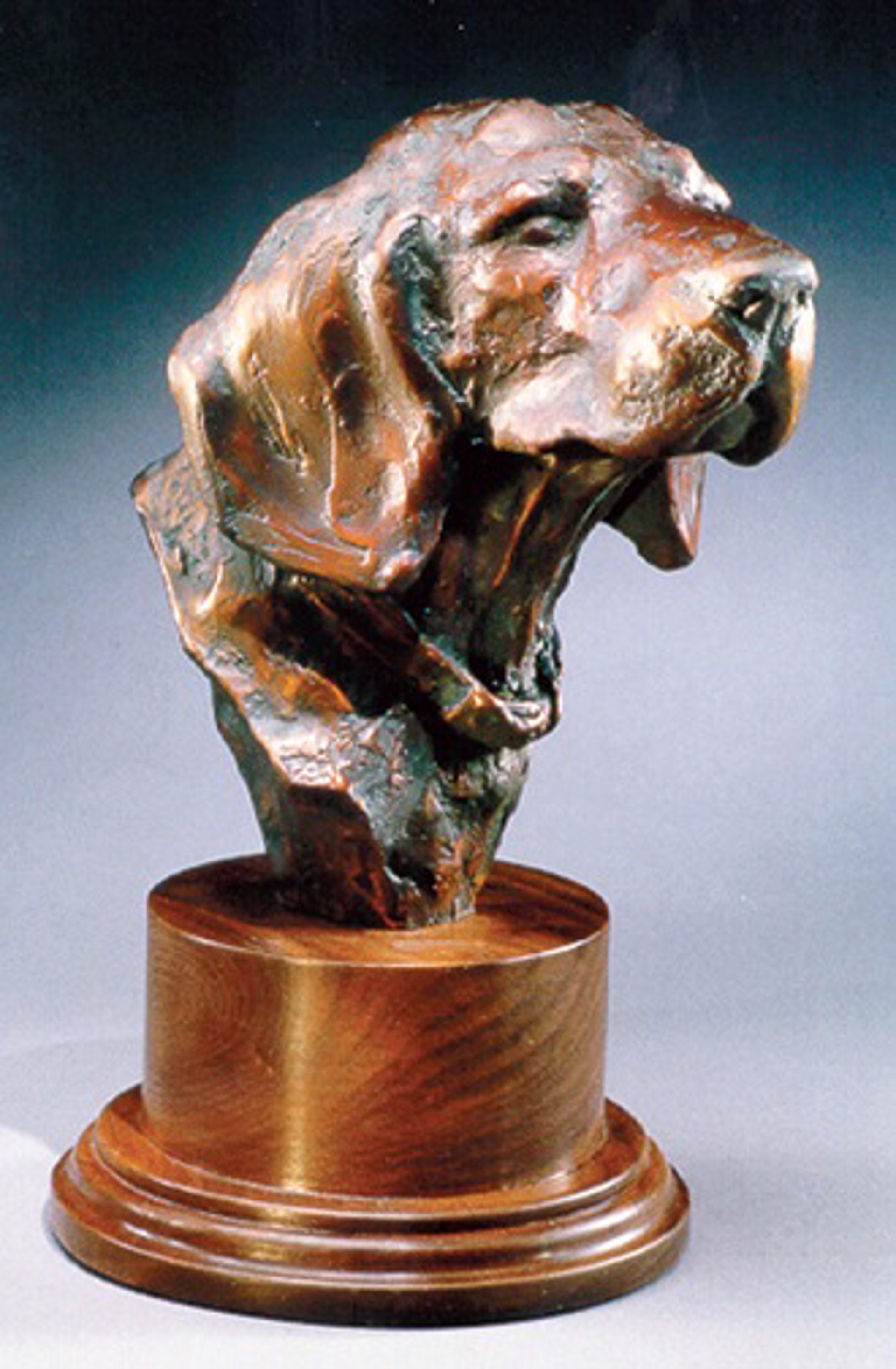Foxhound Bust by Sandy Scott