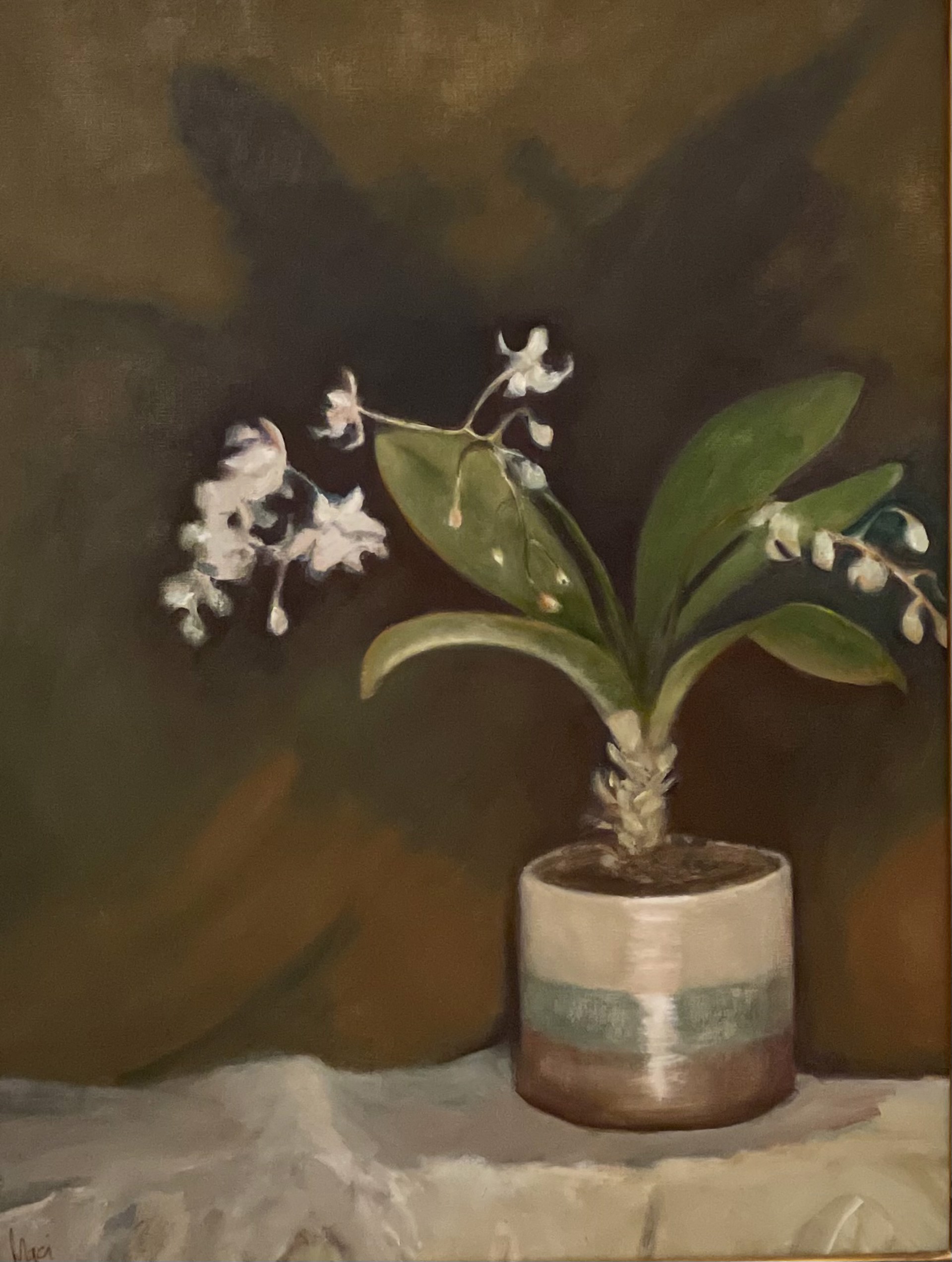Orchid by Maci Scheuer