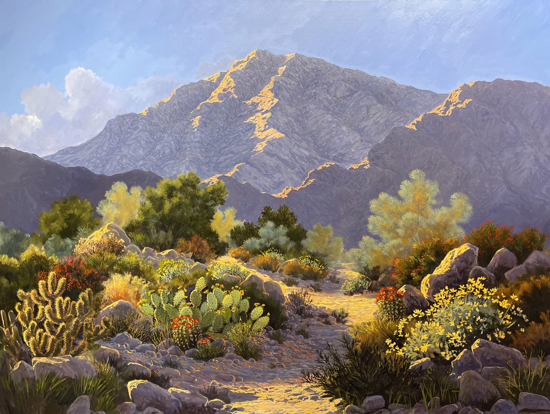 Flowering Desert Trail by Jed Bowker