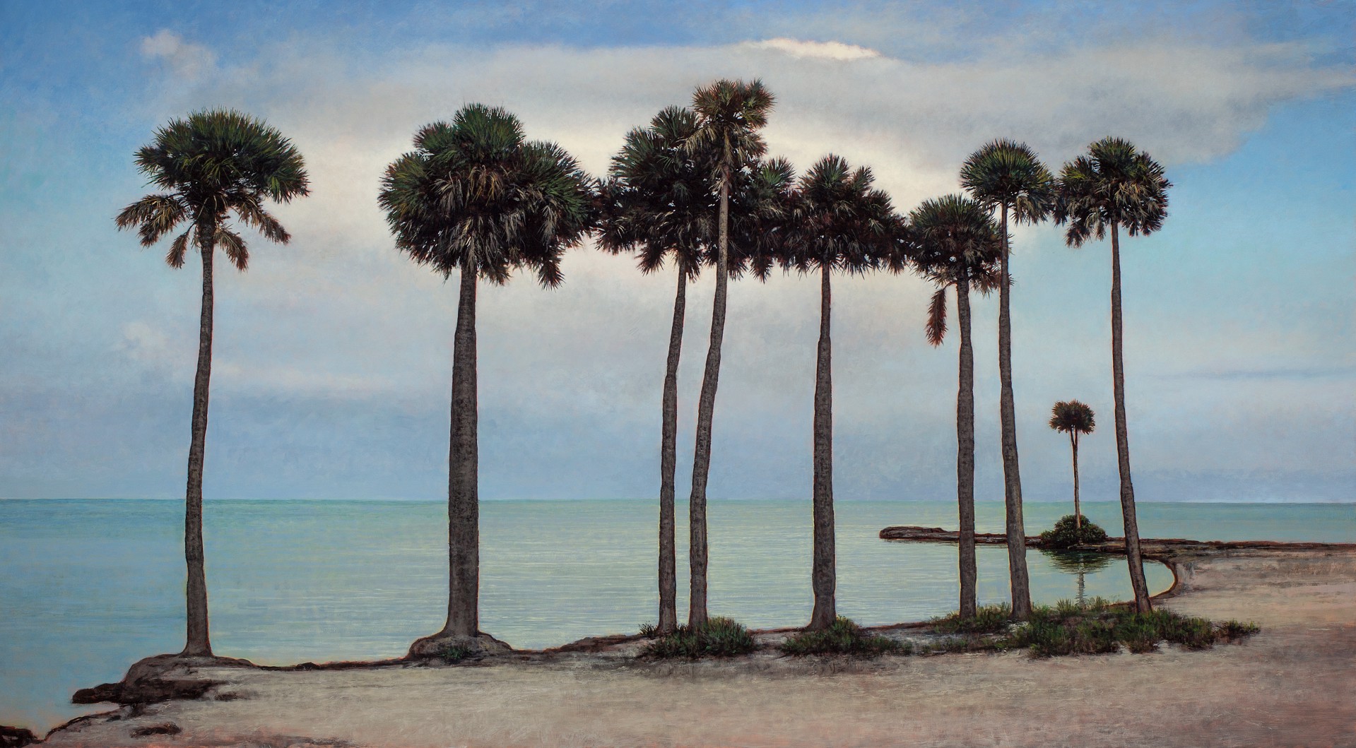 Cabbage Palms, St Petersburg 2 by Jeff Aeling