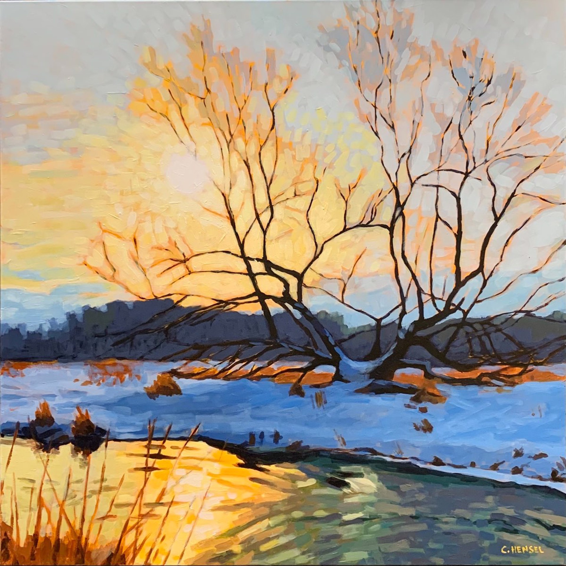 Split Tree Sunset by Carrie Hensel