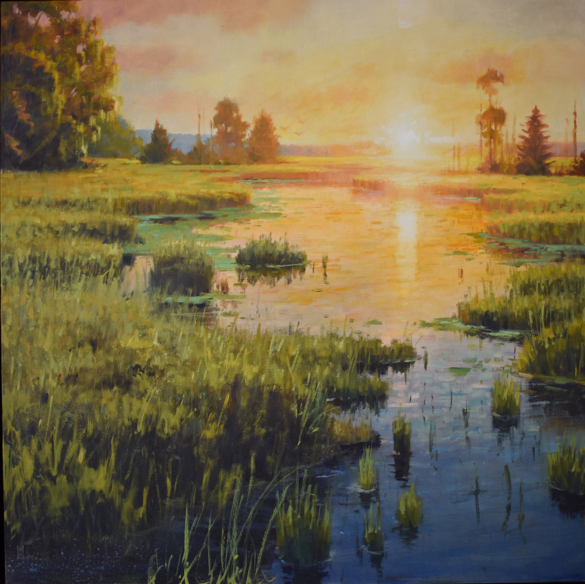 Oh, the Light by Steven Walker