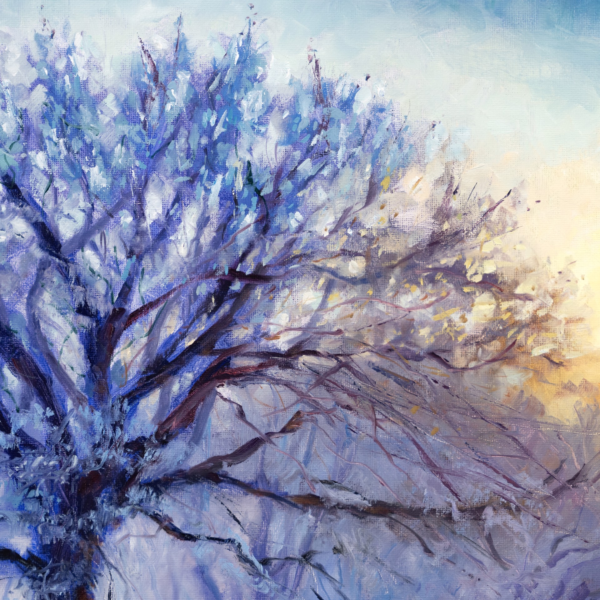 Icy Morning Light by Christopher Clark