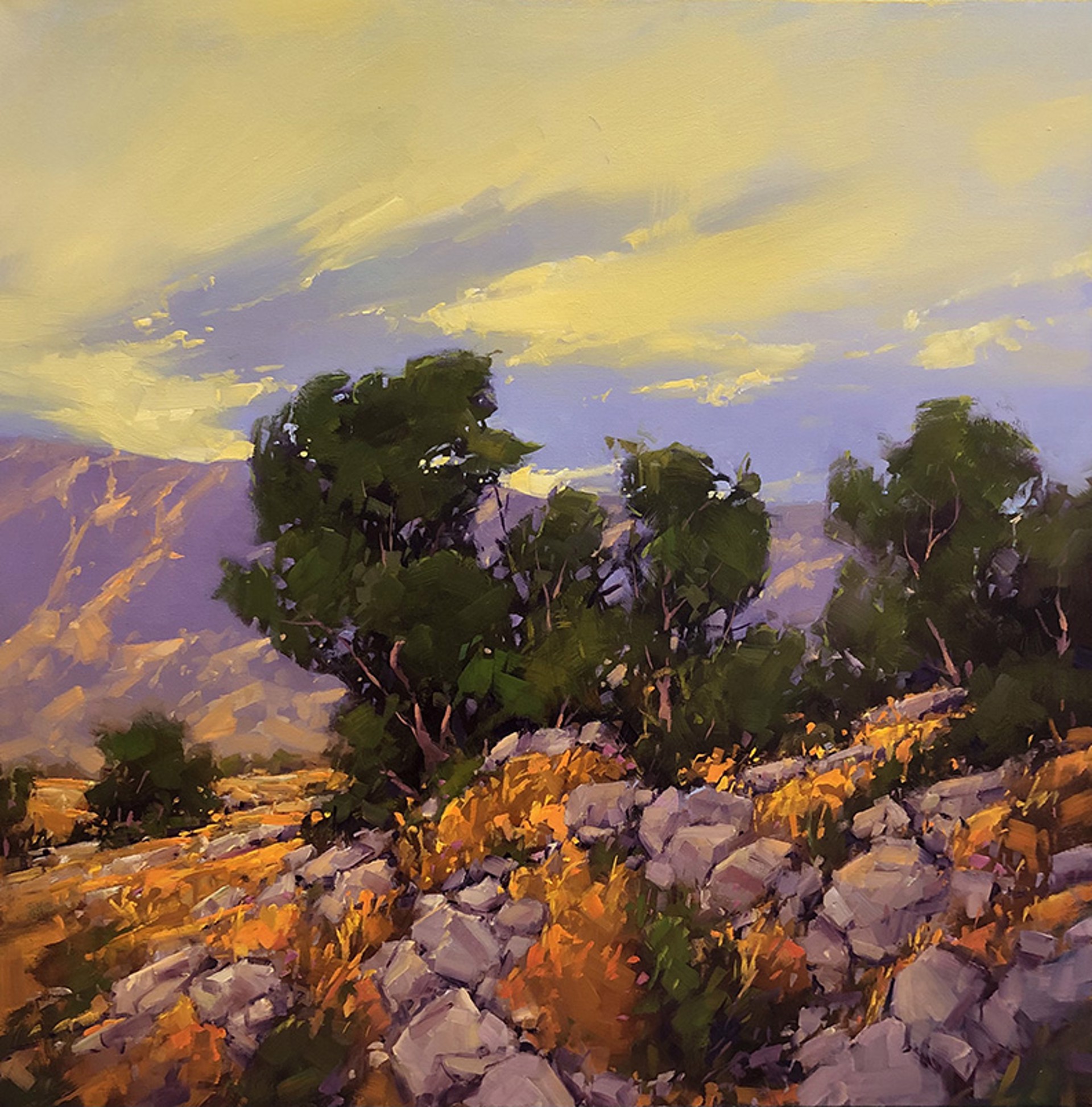 High Desert Hillside by Gregory Stocks