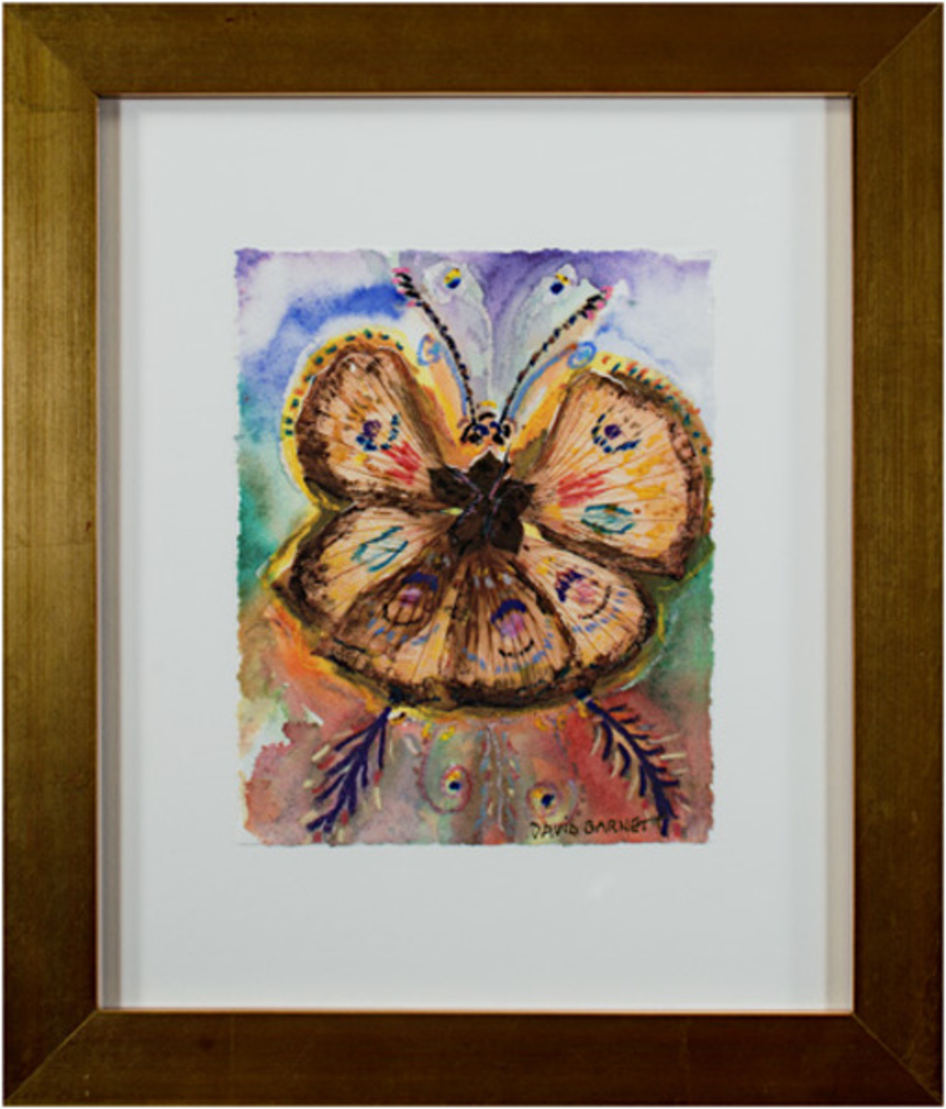 Giant Hybrid Hibiscus Butterfly by David Barnett