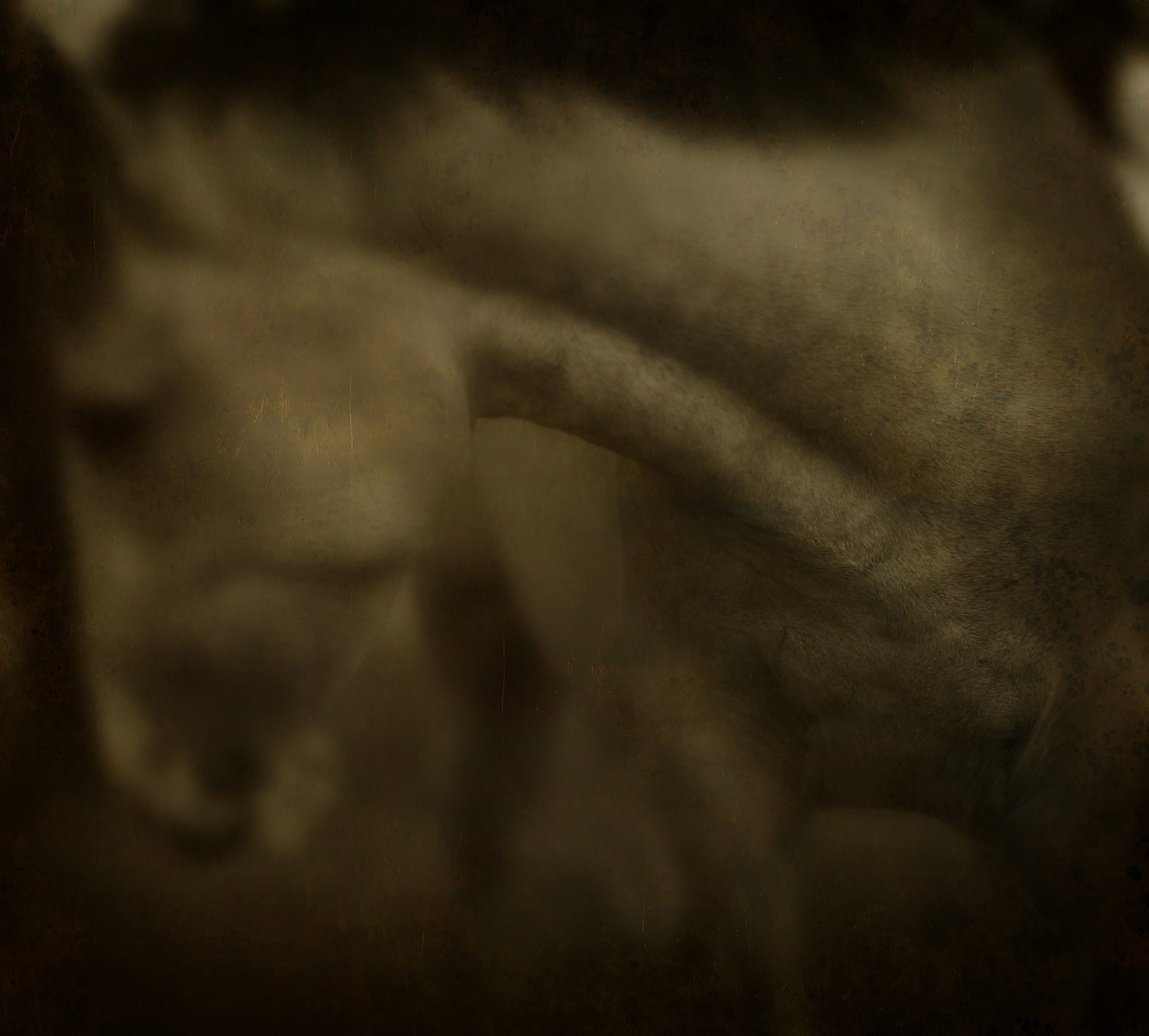 Horses 1/10 by Jack Spencer