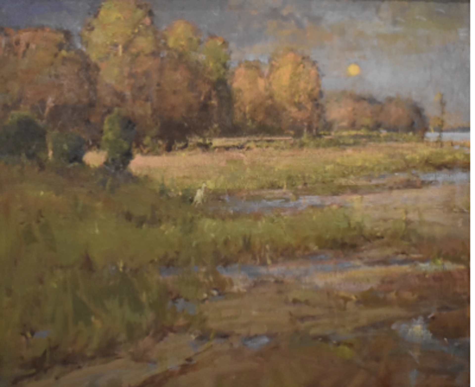 Autumn Marsh by Gene Costanza