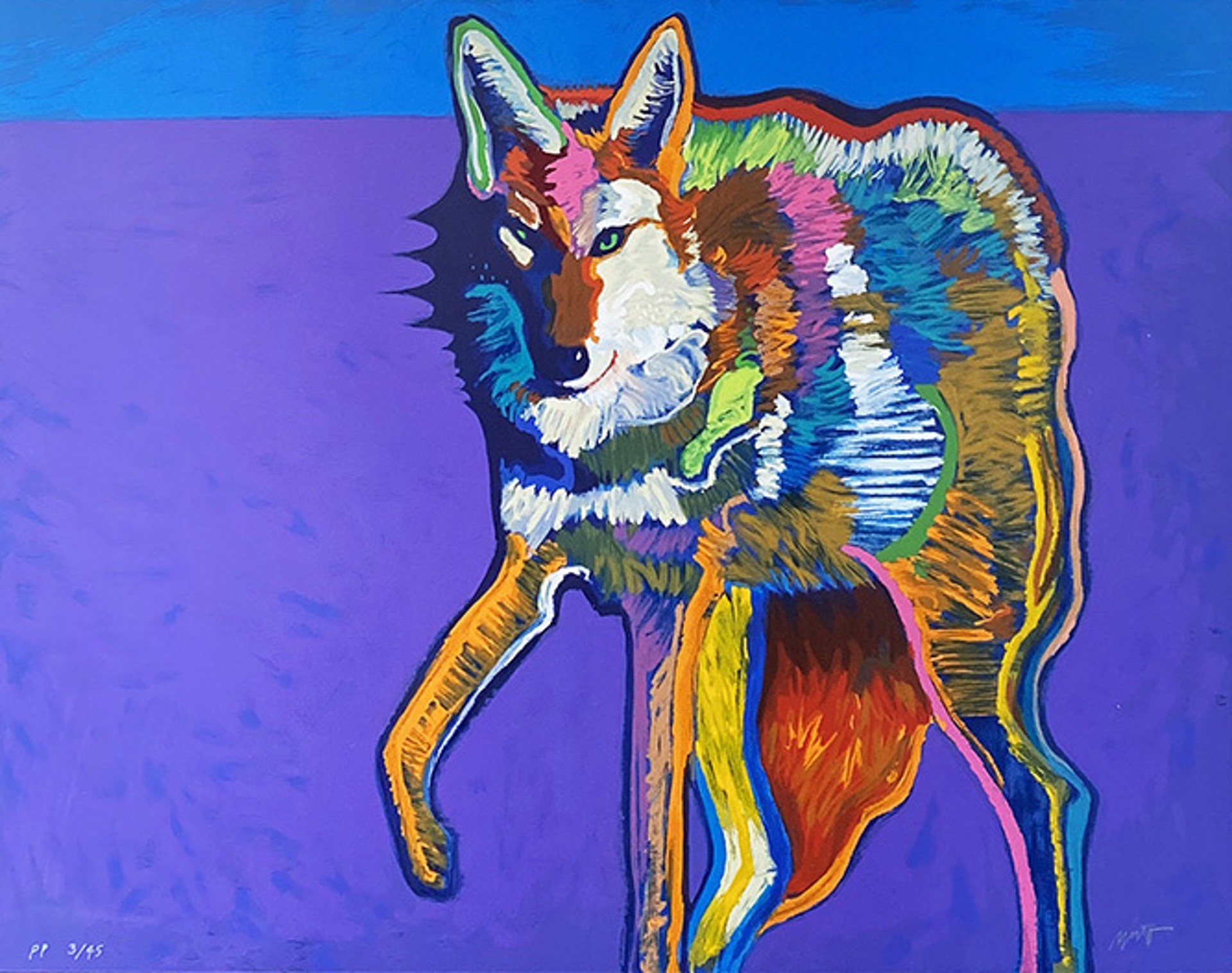 Coyote by John Nieto