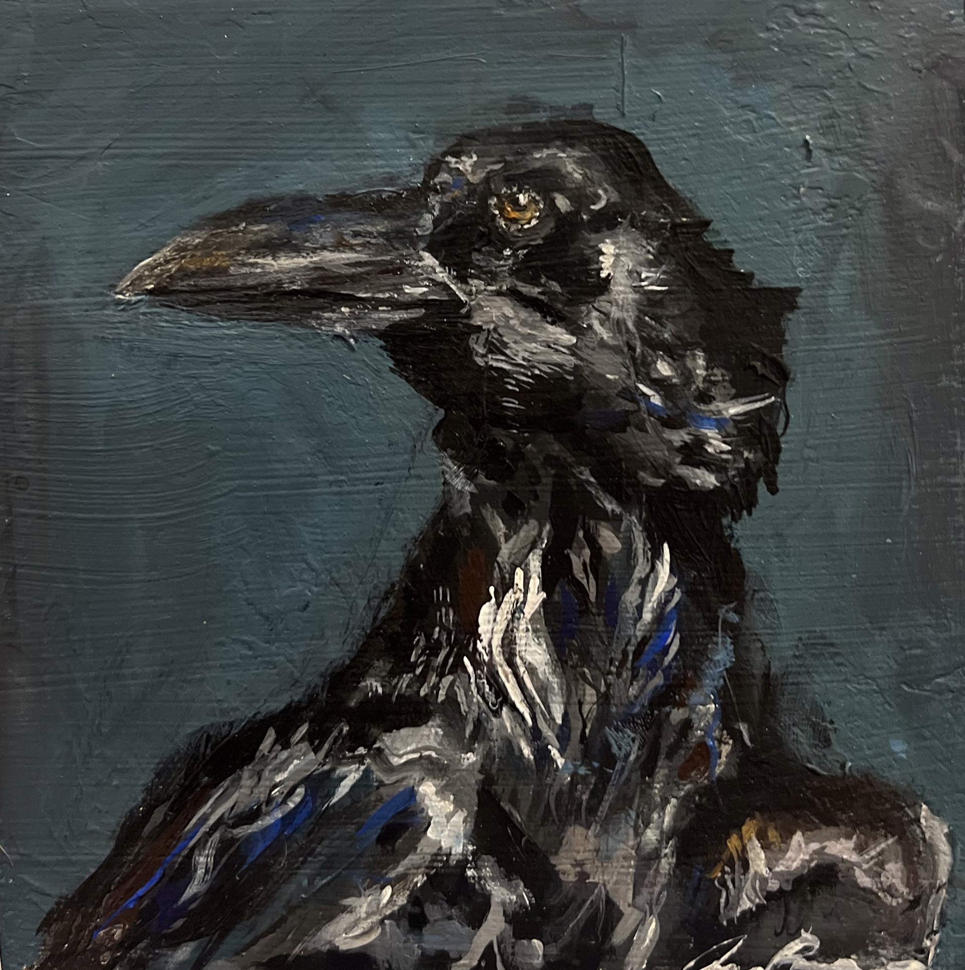 Peculiar Crow by Ana Brown