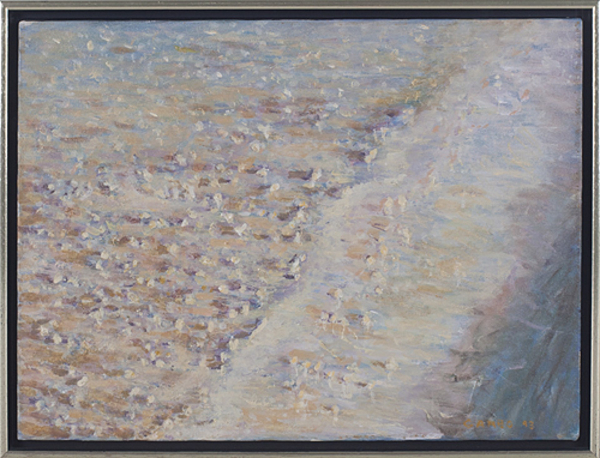 Sunset Effect Sea Shells-Marco Island by Chuck "Garbo" Hajinian