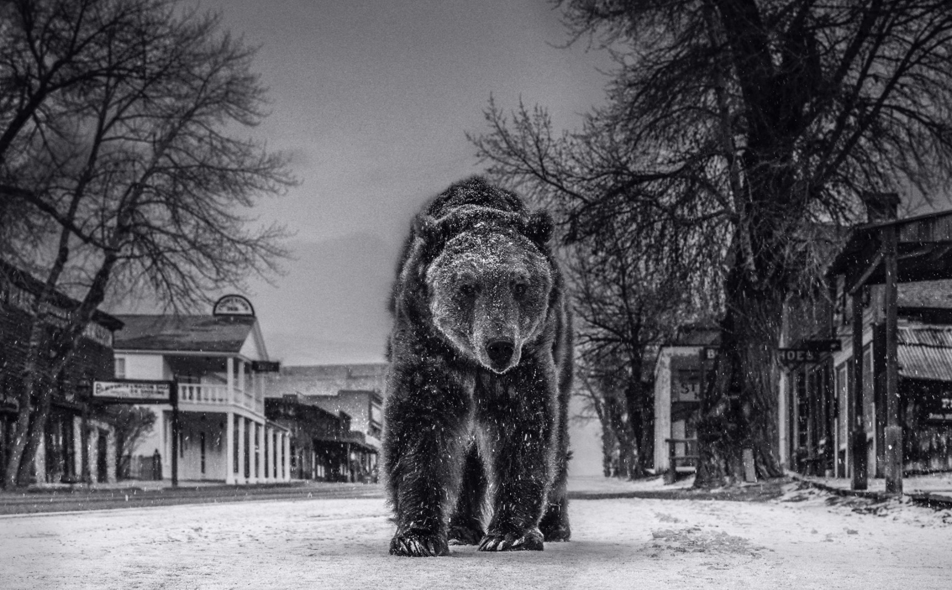 Out of Towner by David Yarrow