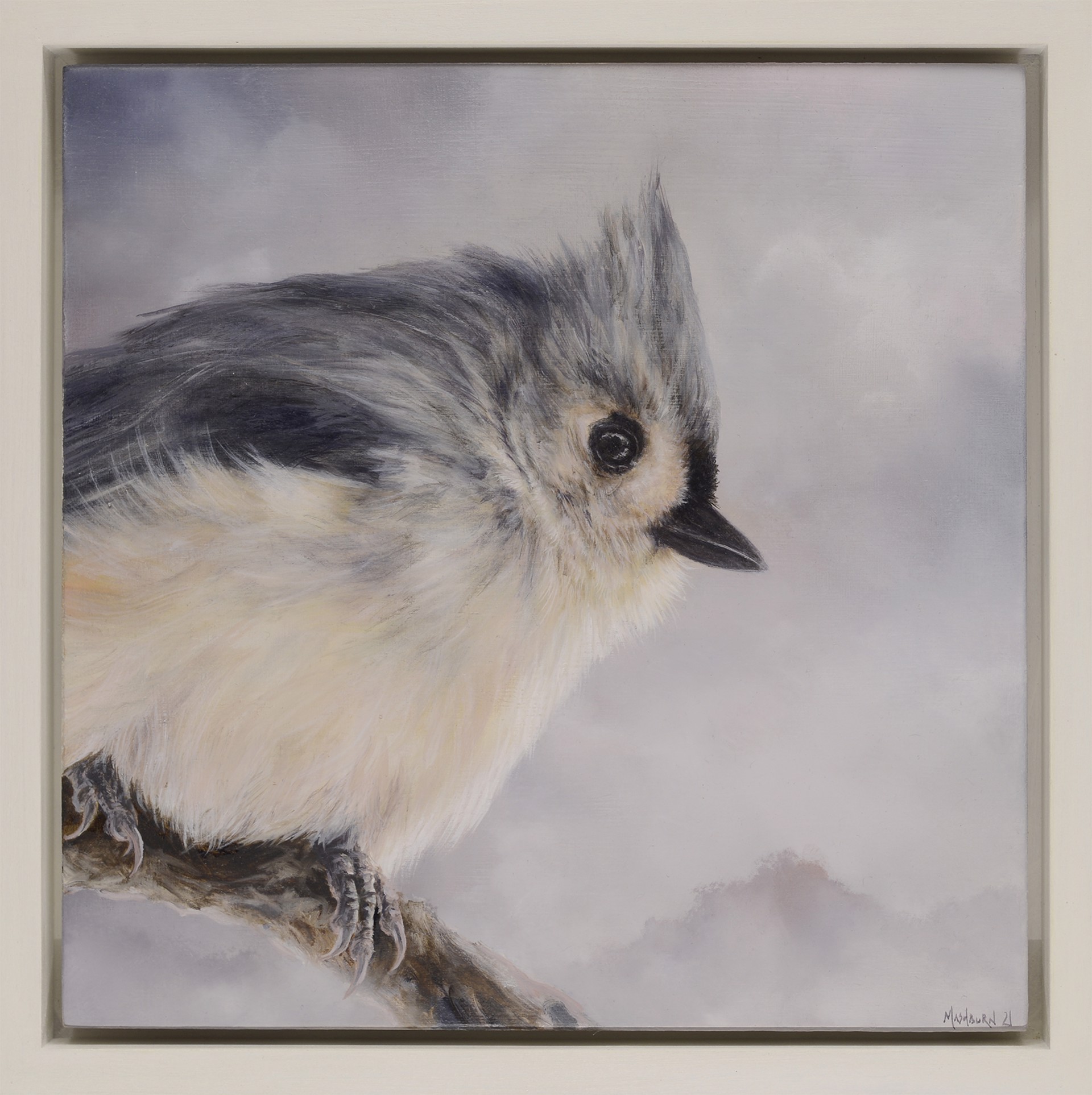 Tufted Titmouse 2 by Brian Mashburn
