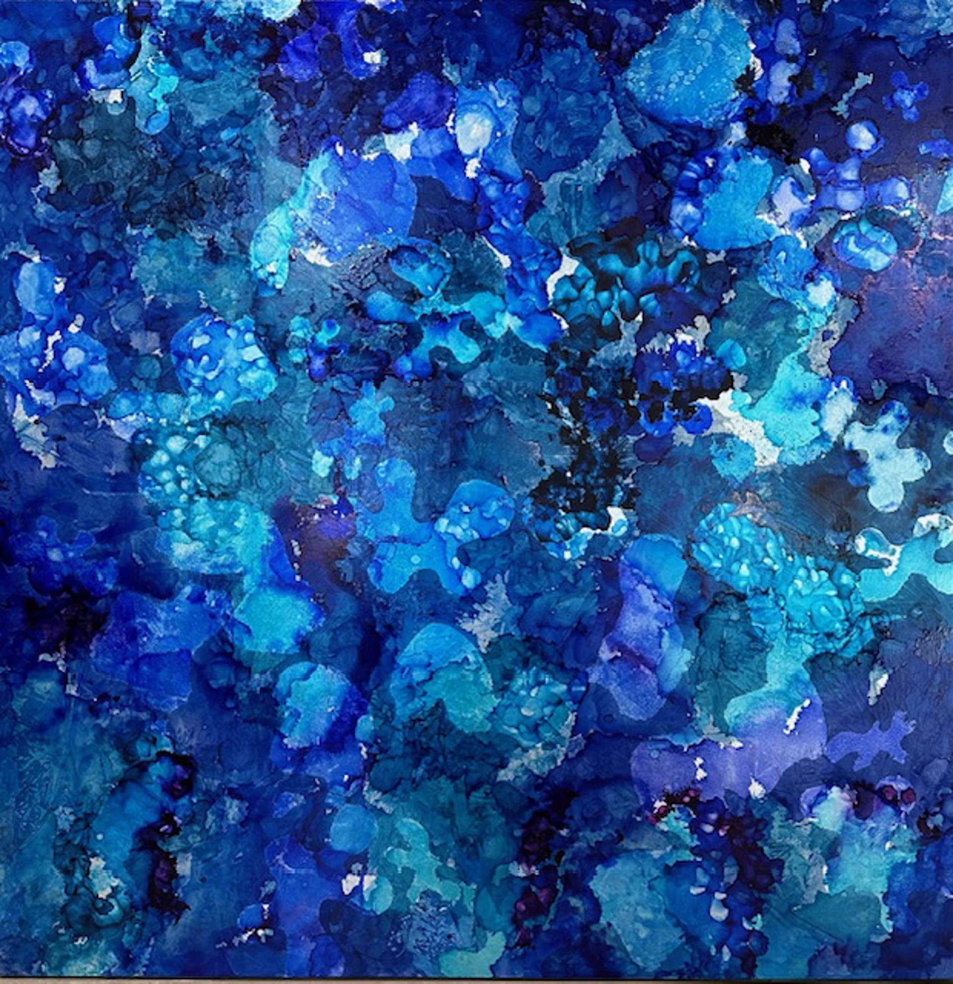 Midnight Blue by Bettina Sego