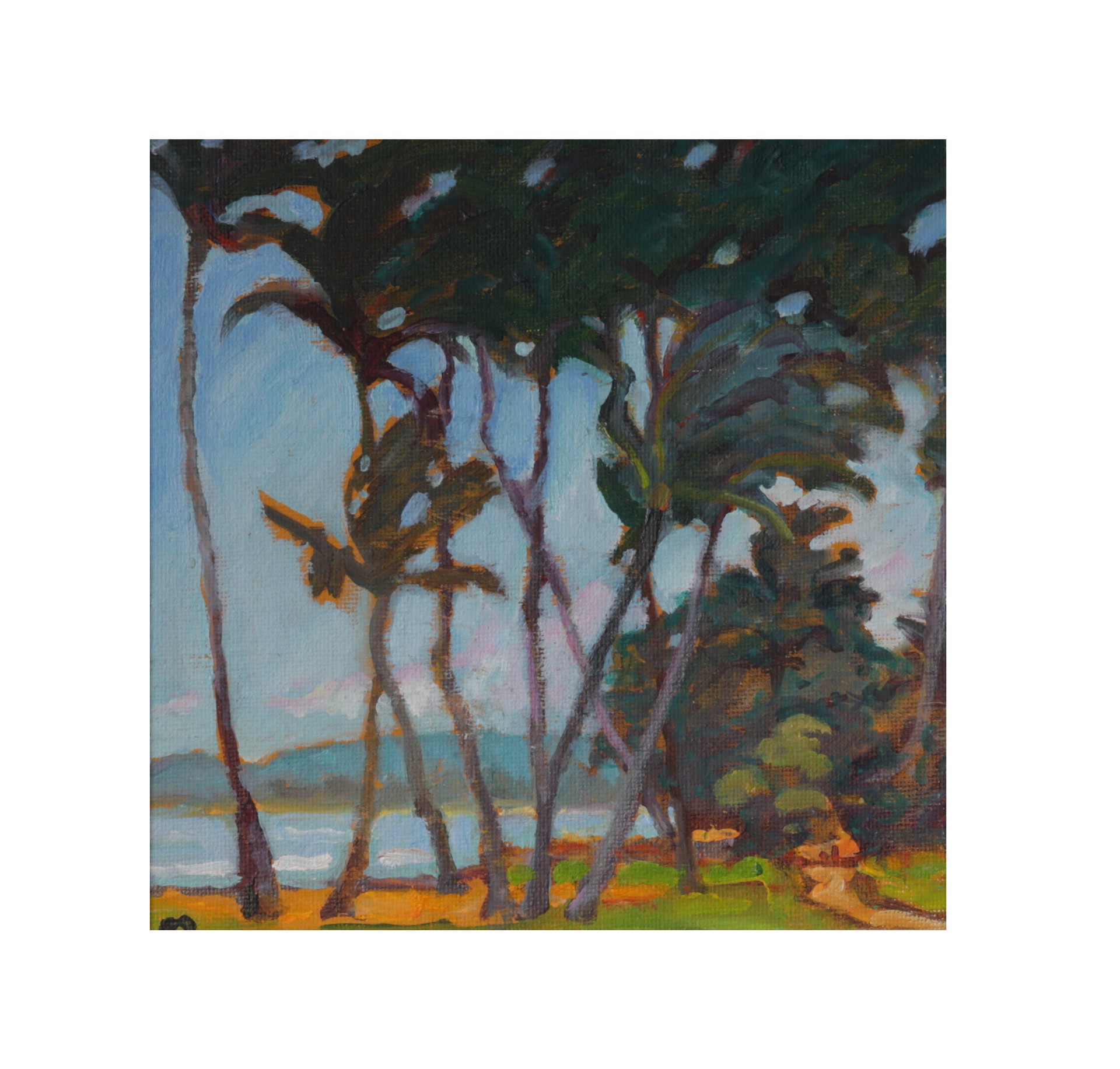 Kapaʻa Palms by Dennis Morton