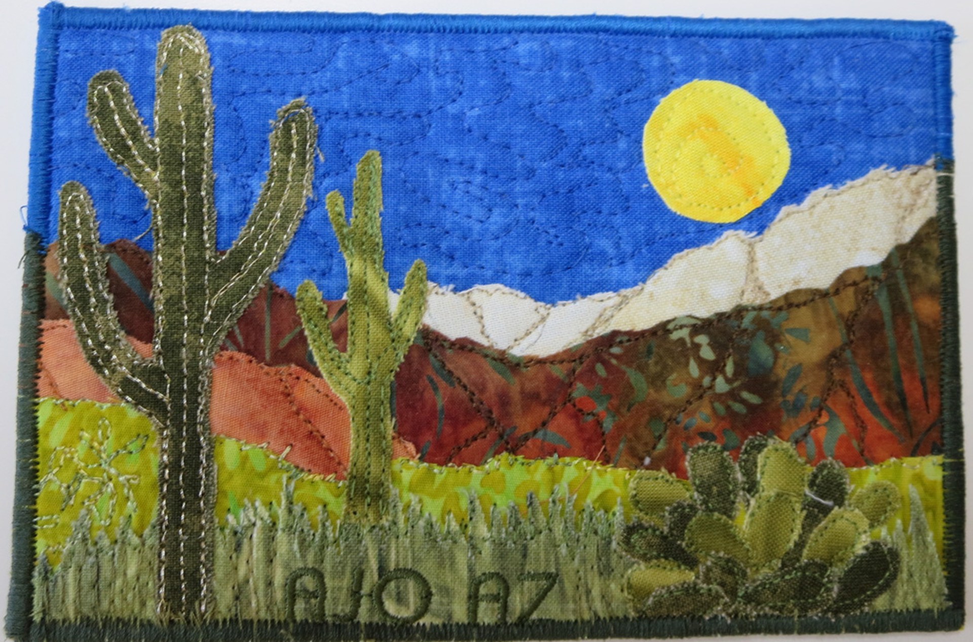 Sonoran Desert 1  by Cheryl Langer