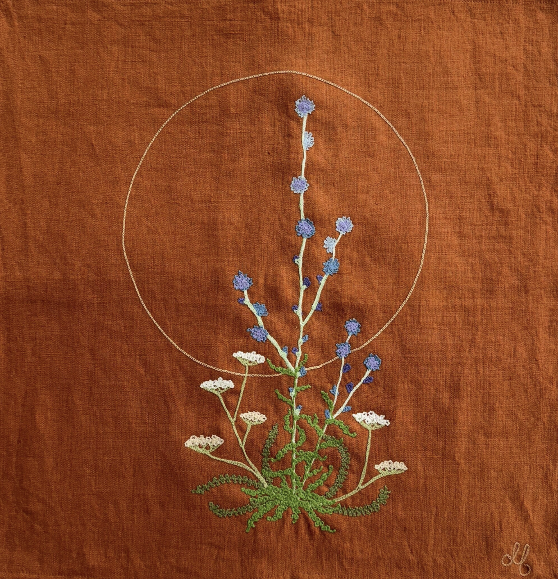 Chicory and Yarrow by Dana Falconberry