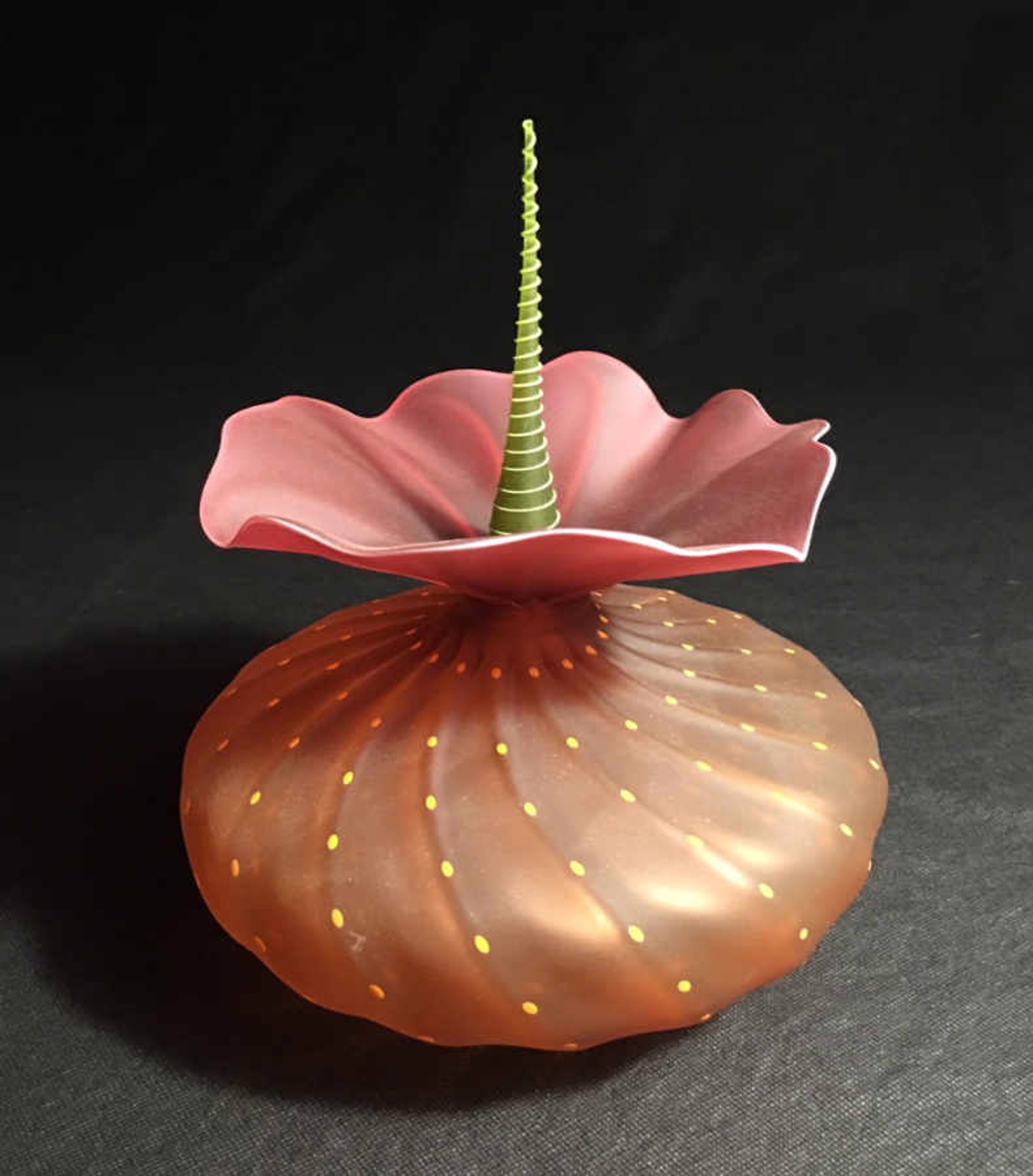 Apricot Urchin by Kliszewski Glass