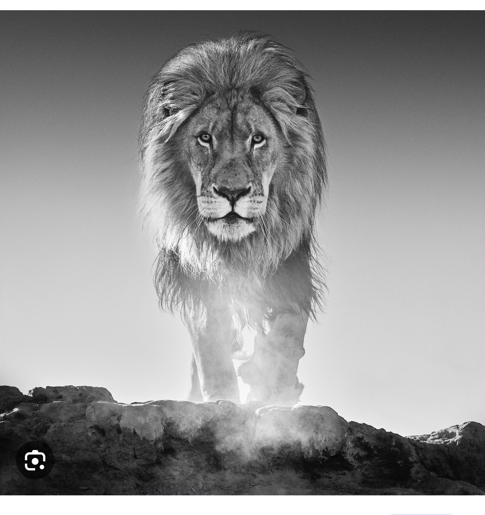 Old Testament (Lion on The Rock) by DAVID YARROW
